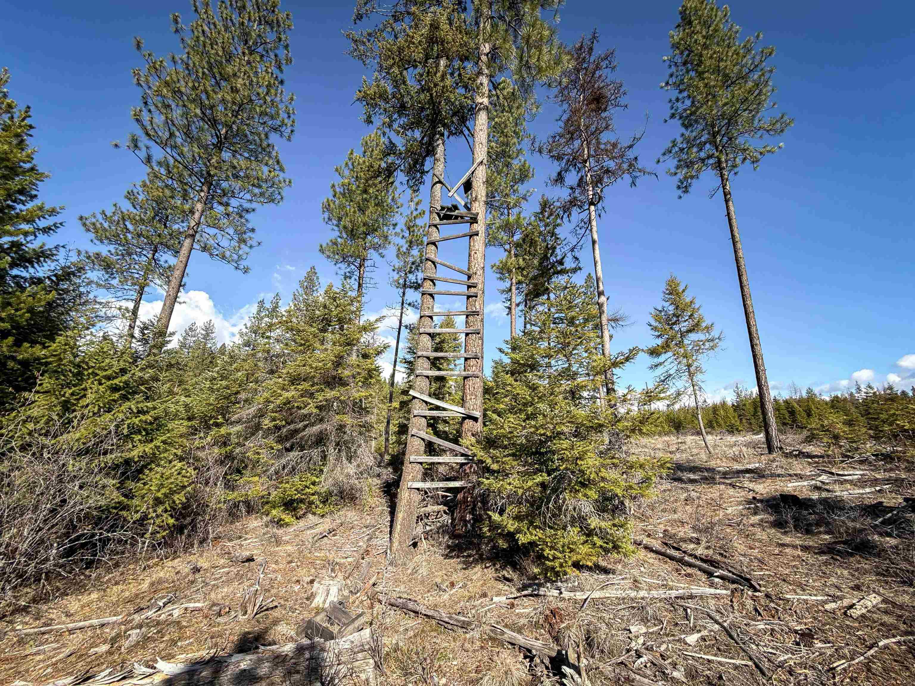 NKA USFS 326 Rd - Photo 24
