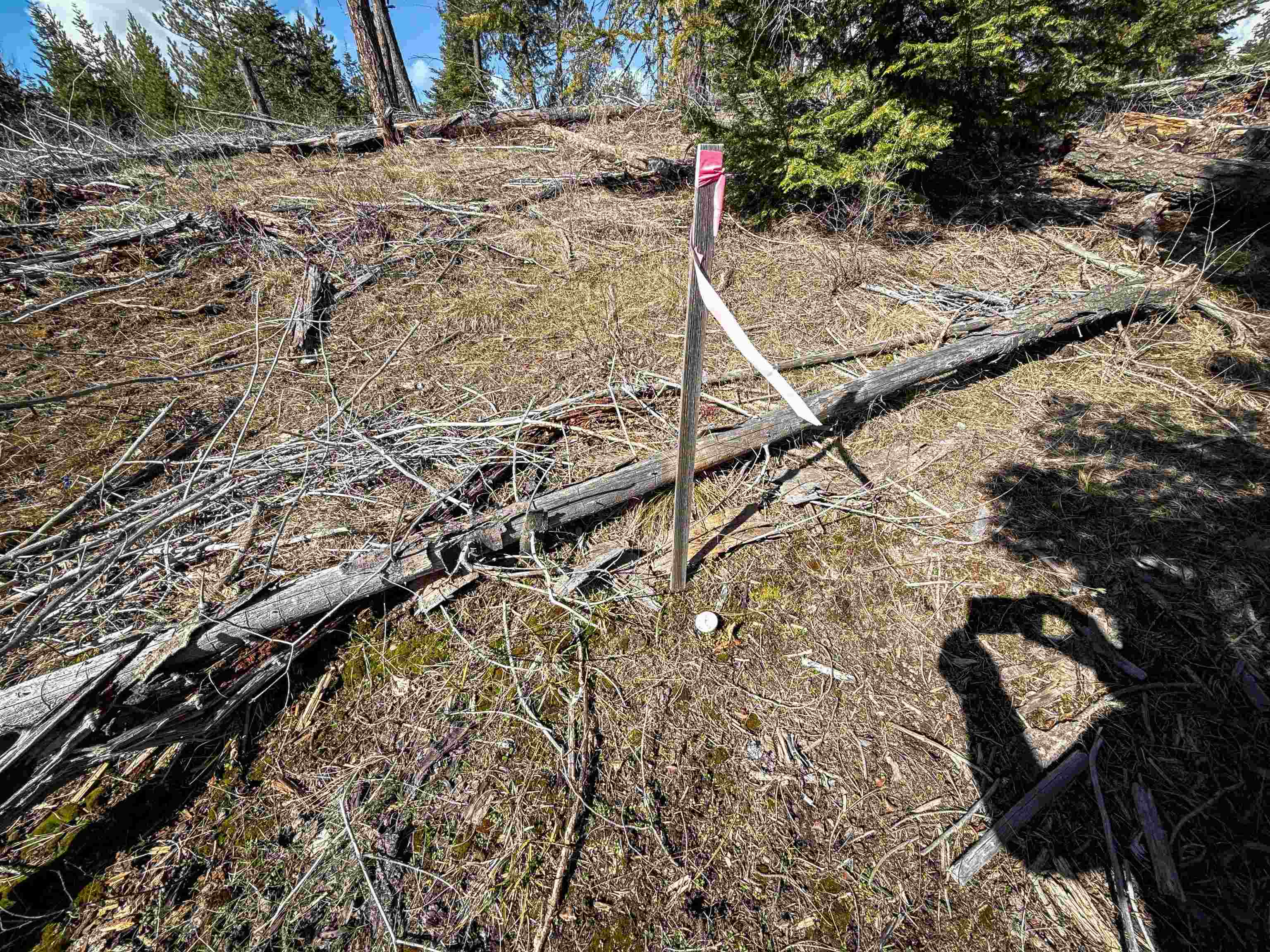 NKA USFS 326 Rd - Photo 25