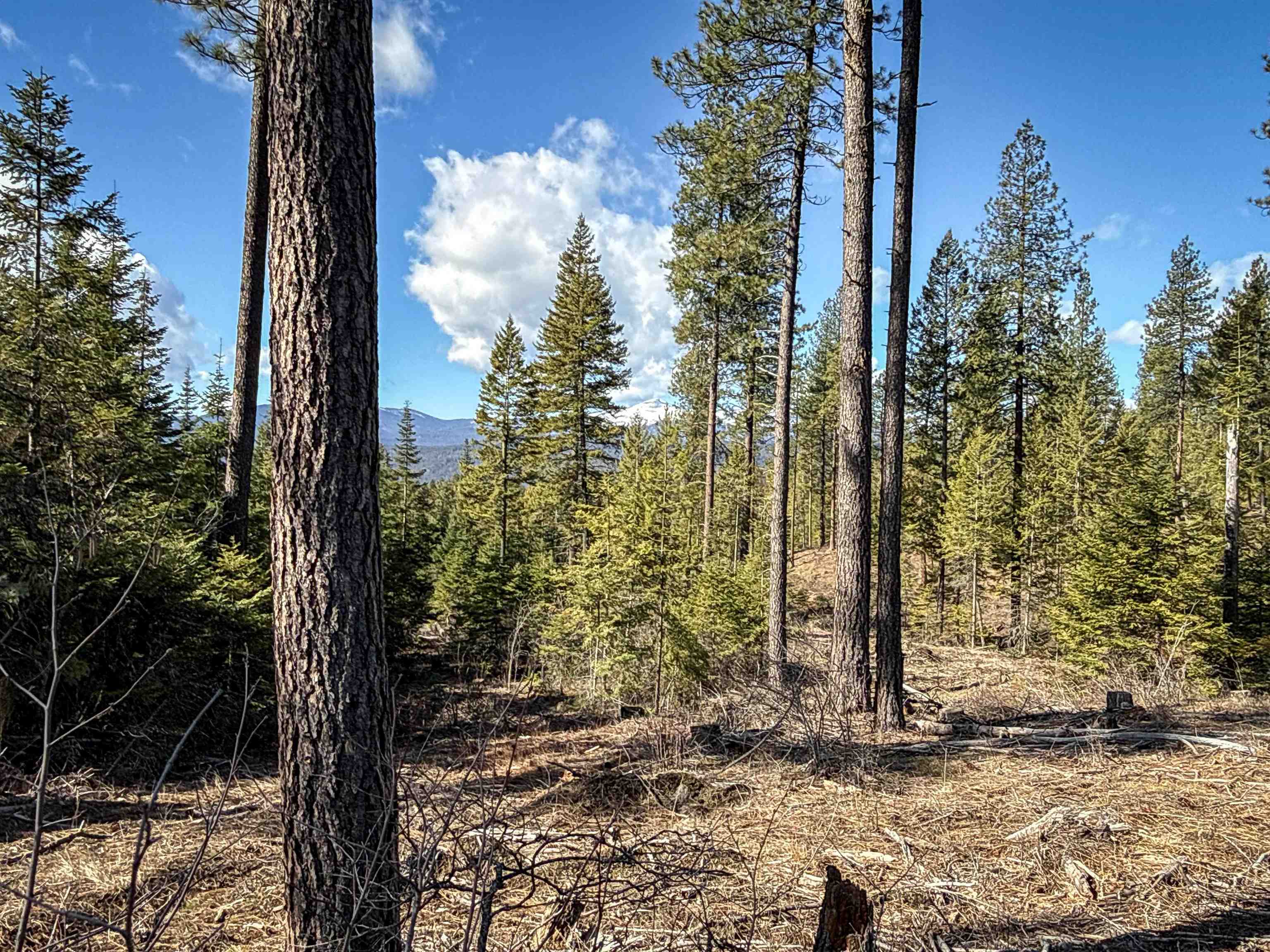 NKA USFS 326 Rd - Photo 27
