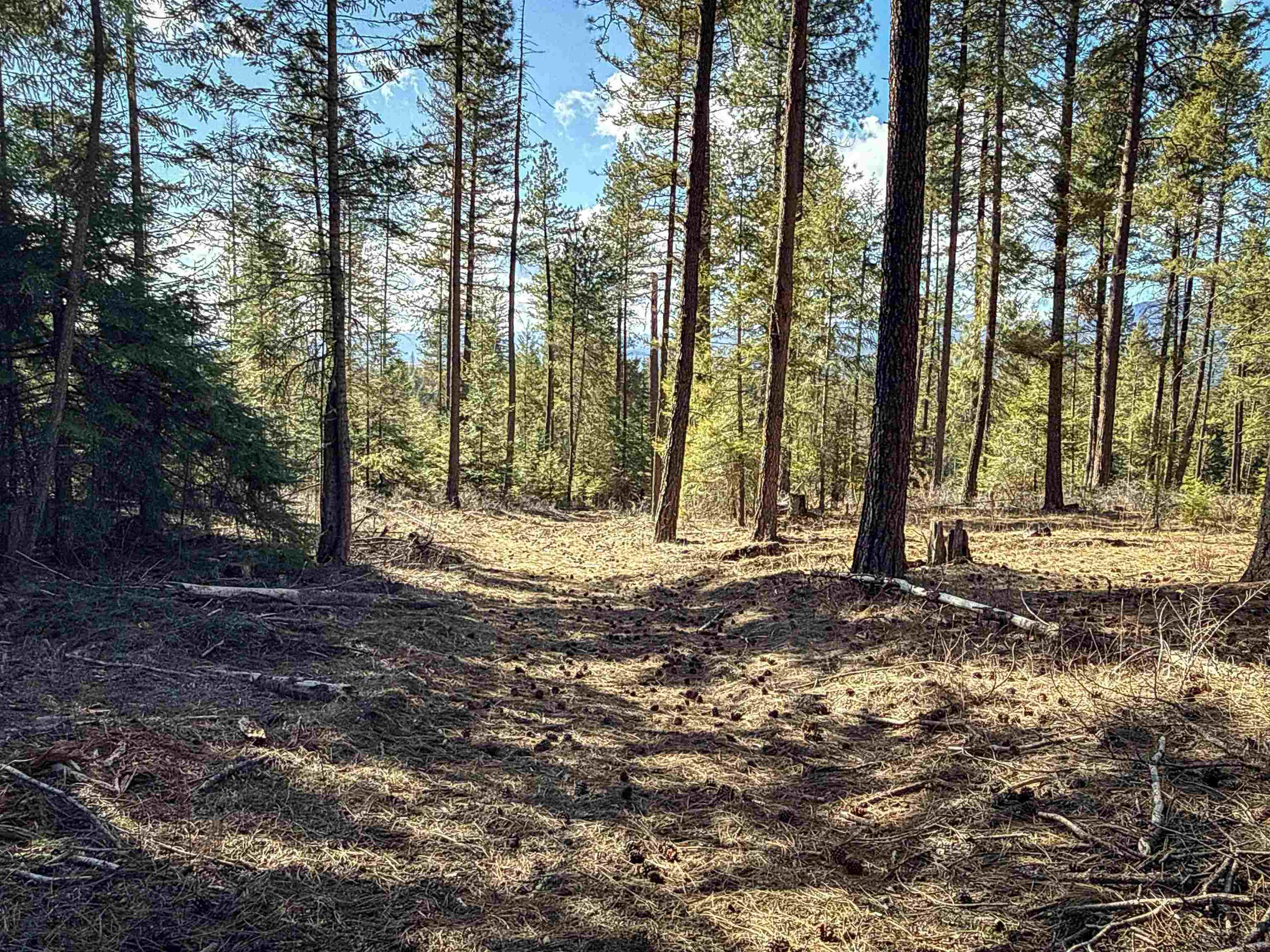 NKA USFS 326 Rd - Photo 28