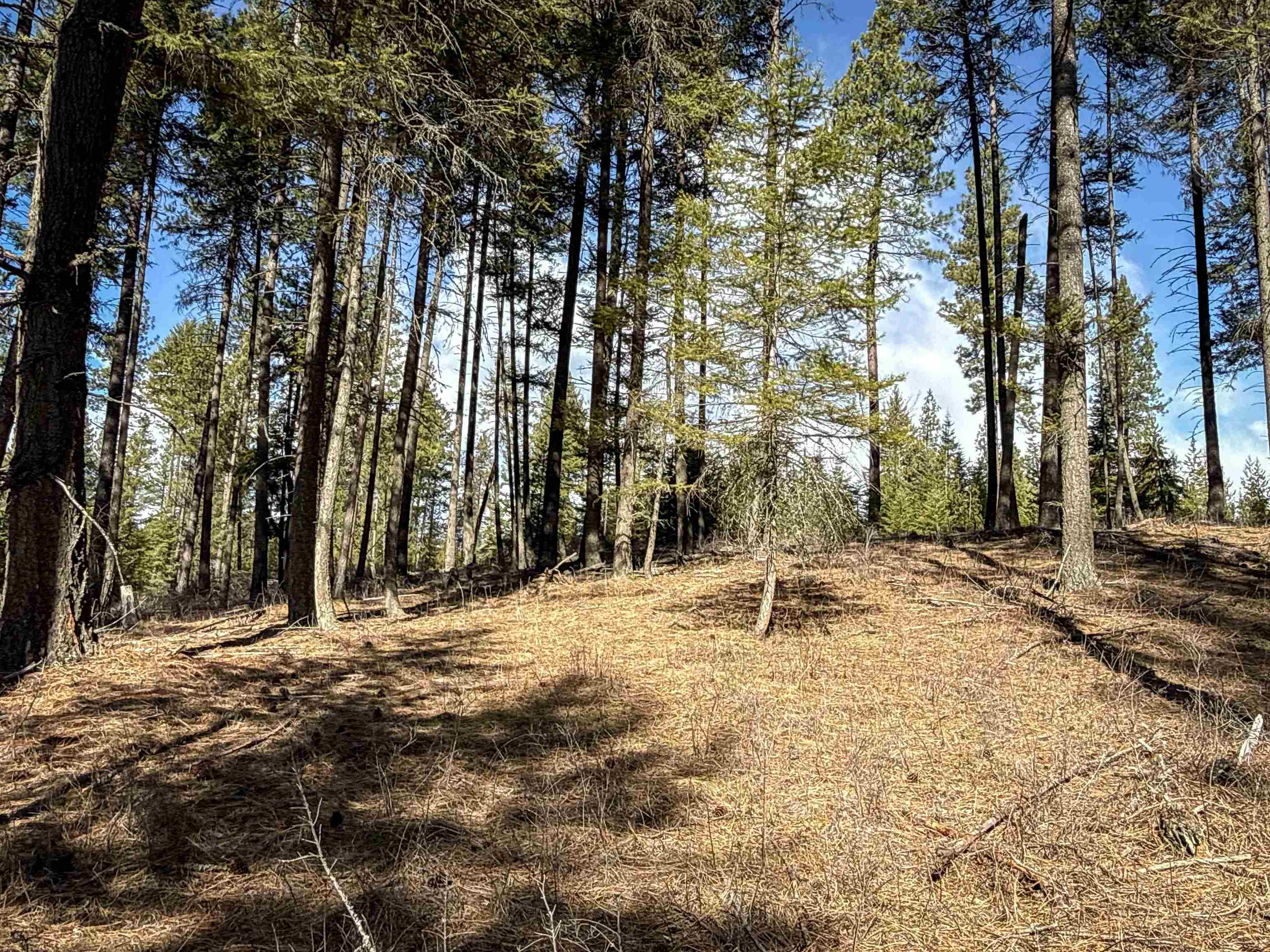NKA USFS 326 Rd - Photo 29