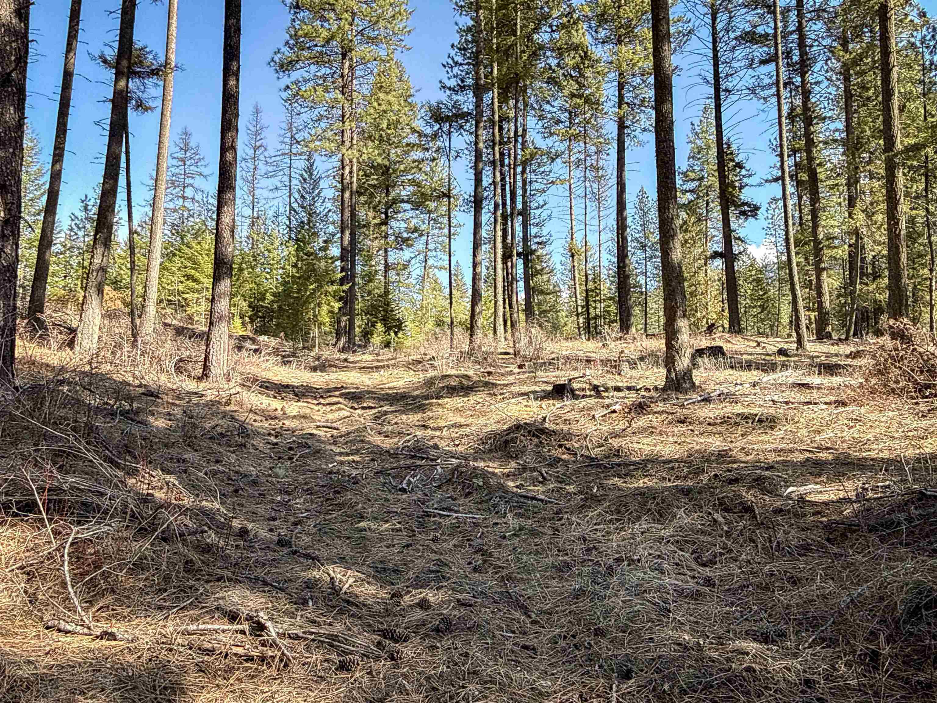 NKA USFS 326 Rd - Photo 30
