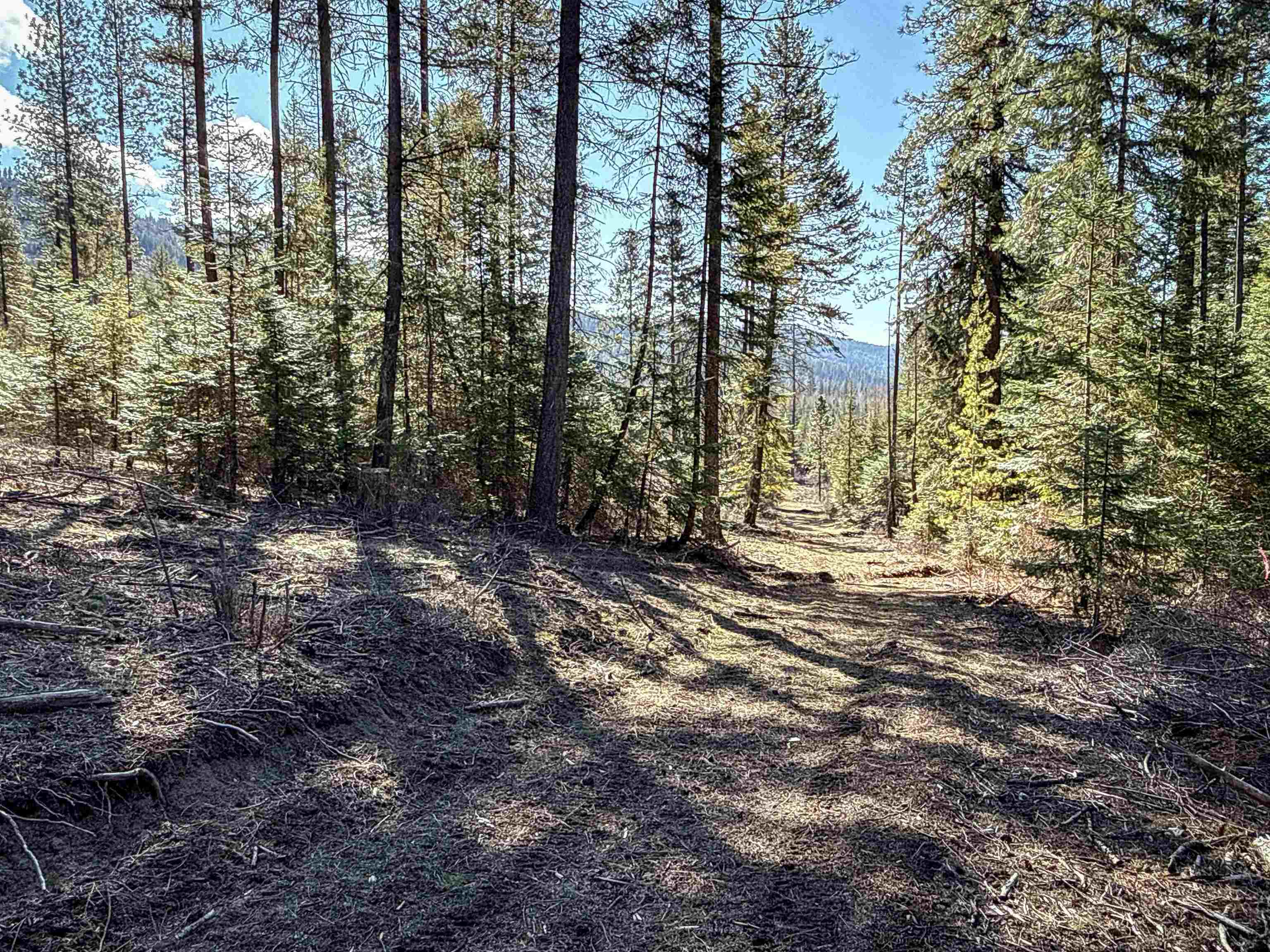 NKA USFS 326 Rd - Photo 4
