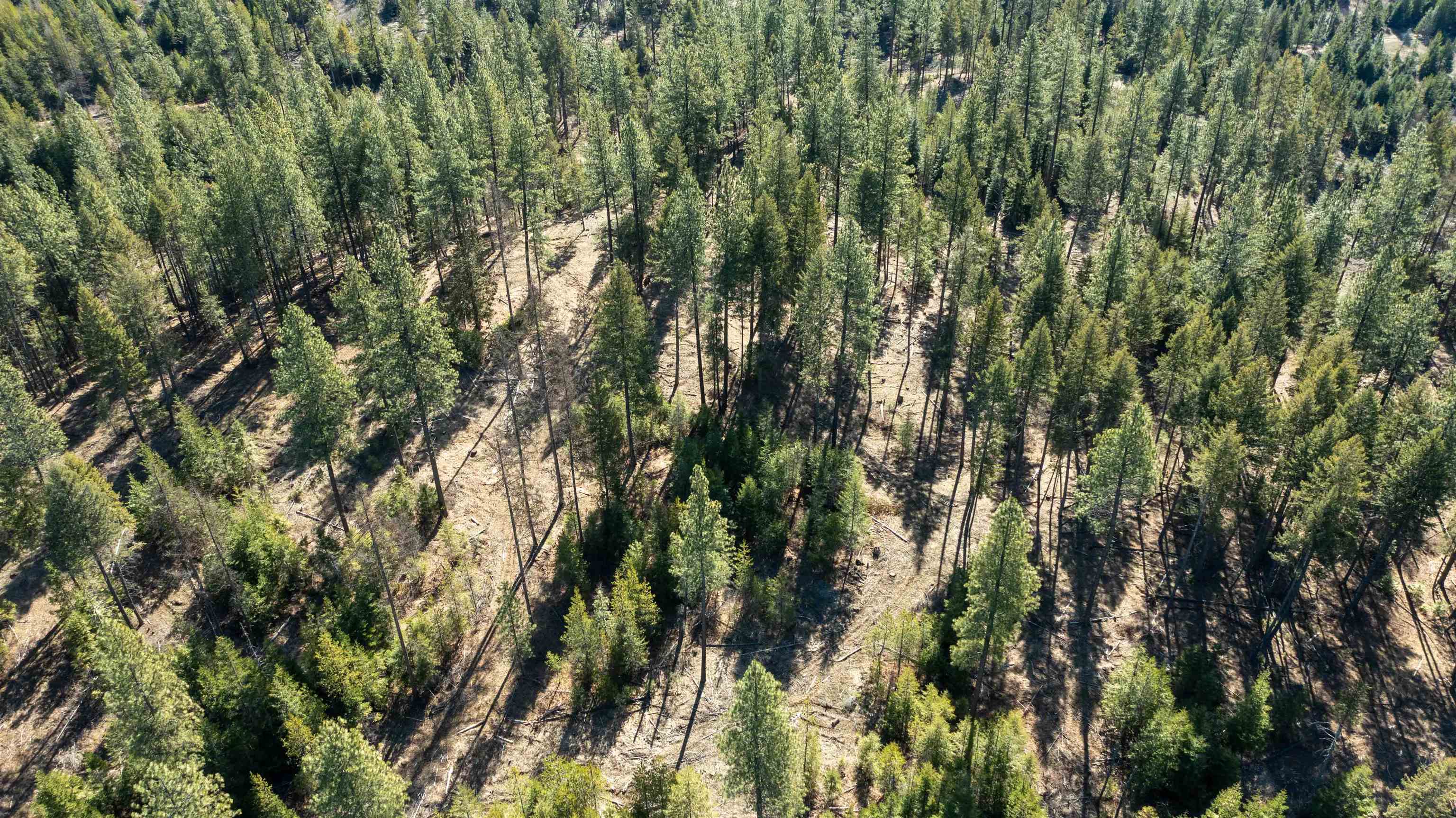 NKA USFS 326 Rd - Photo 31