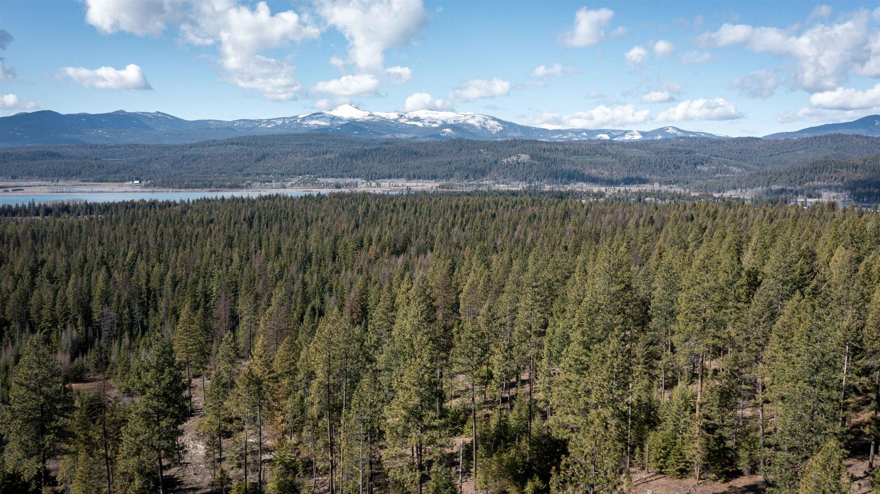 NKA USFS 326 Rd - Photo 32
