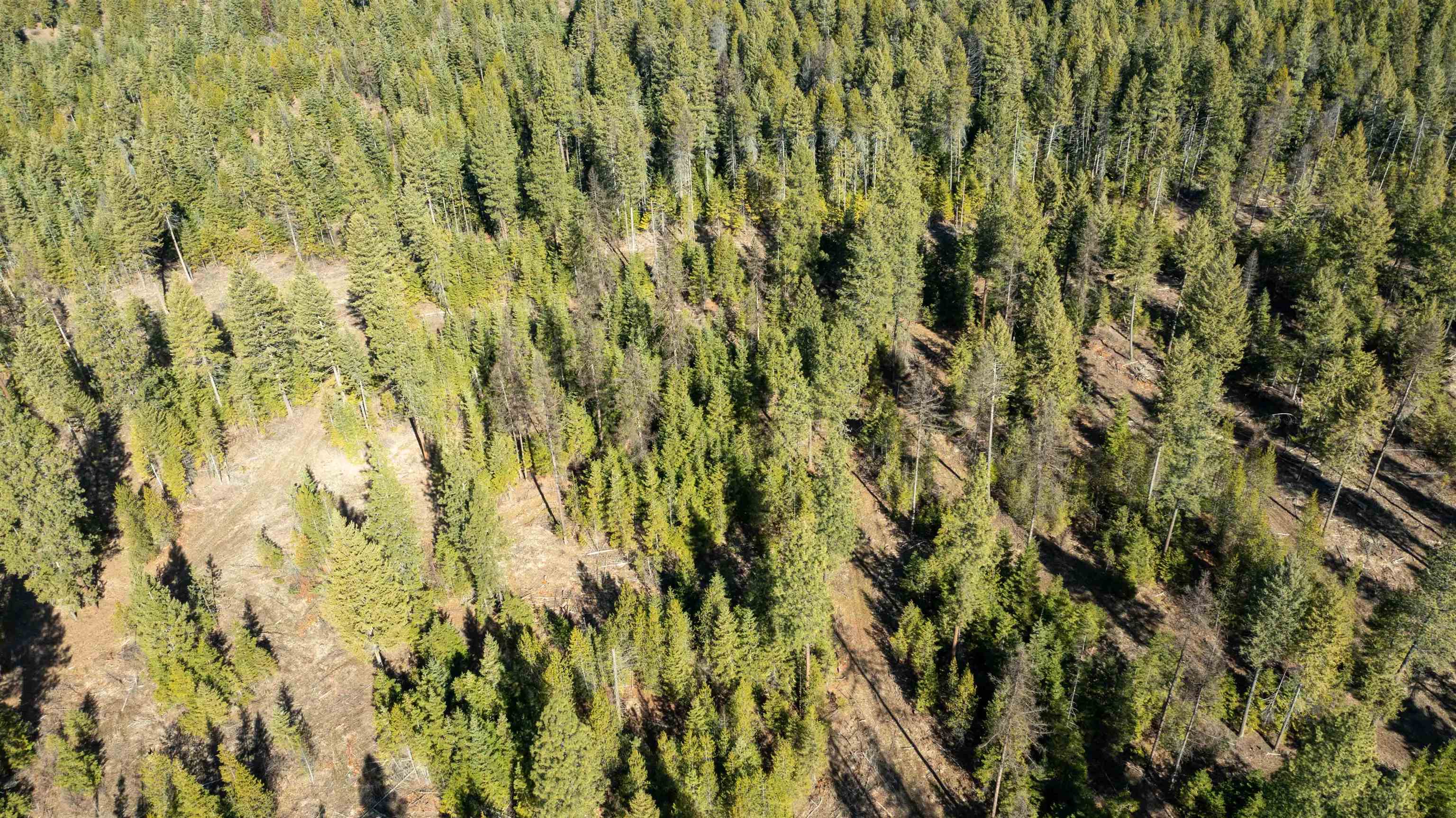 NKA USFS 326 Rd - Photo 33