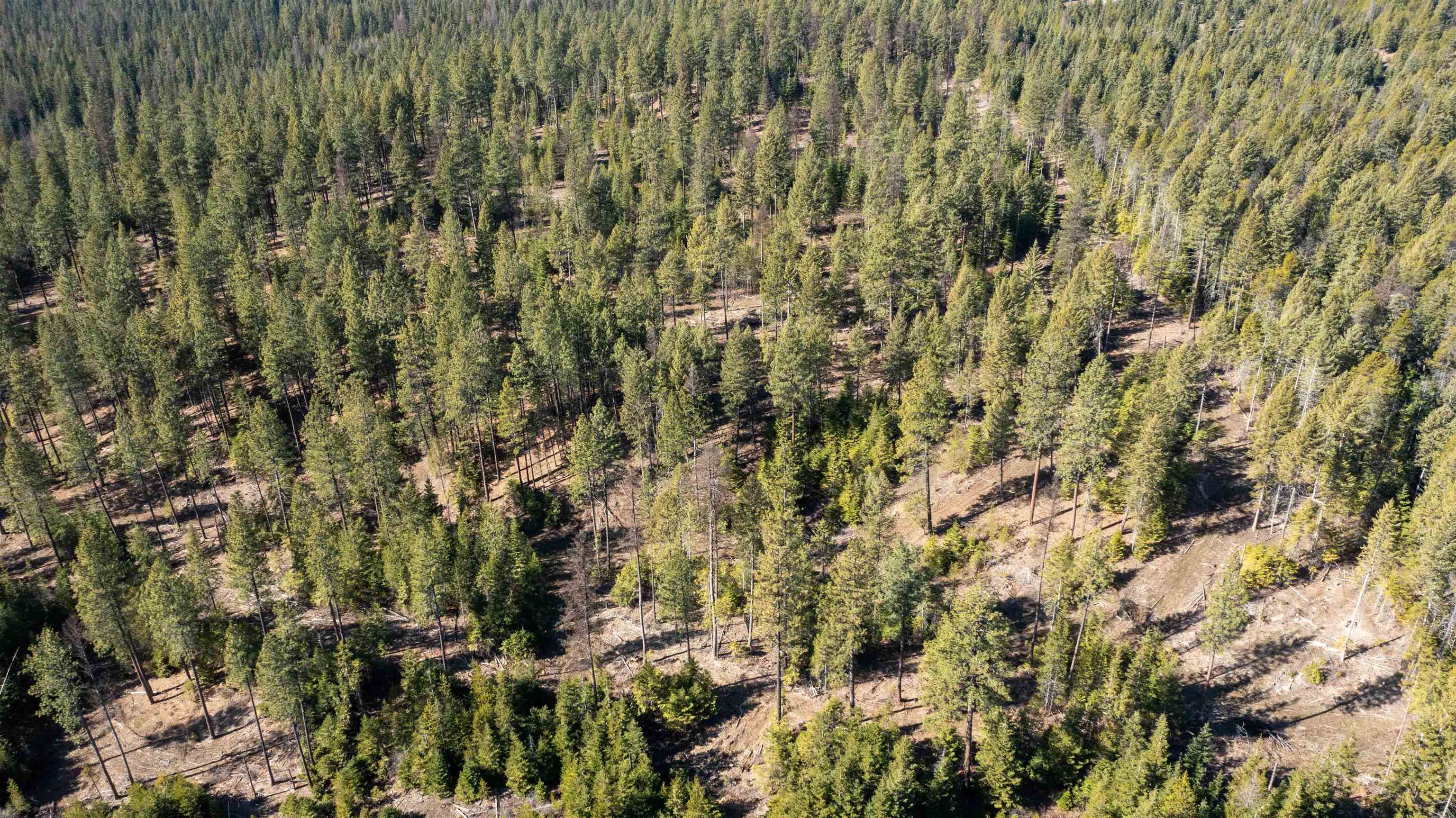 NKA USFS 326 Rd - Photo 34
