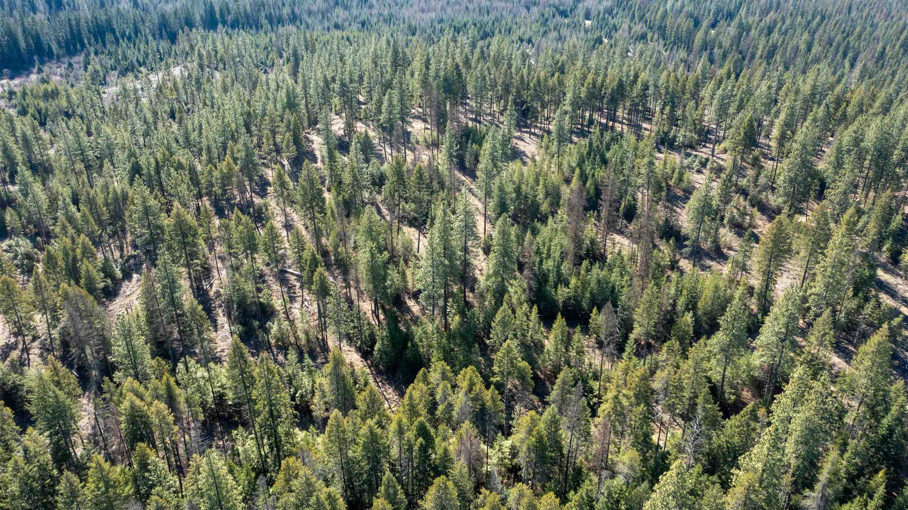 NKA USFS 326 Rd - Photo 36