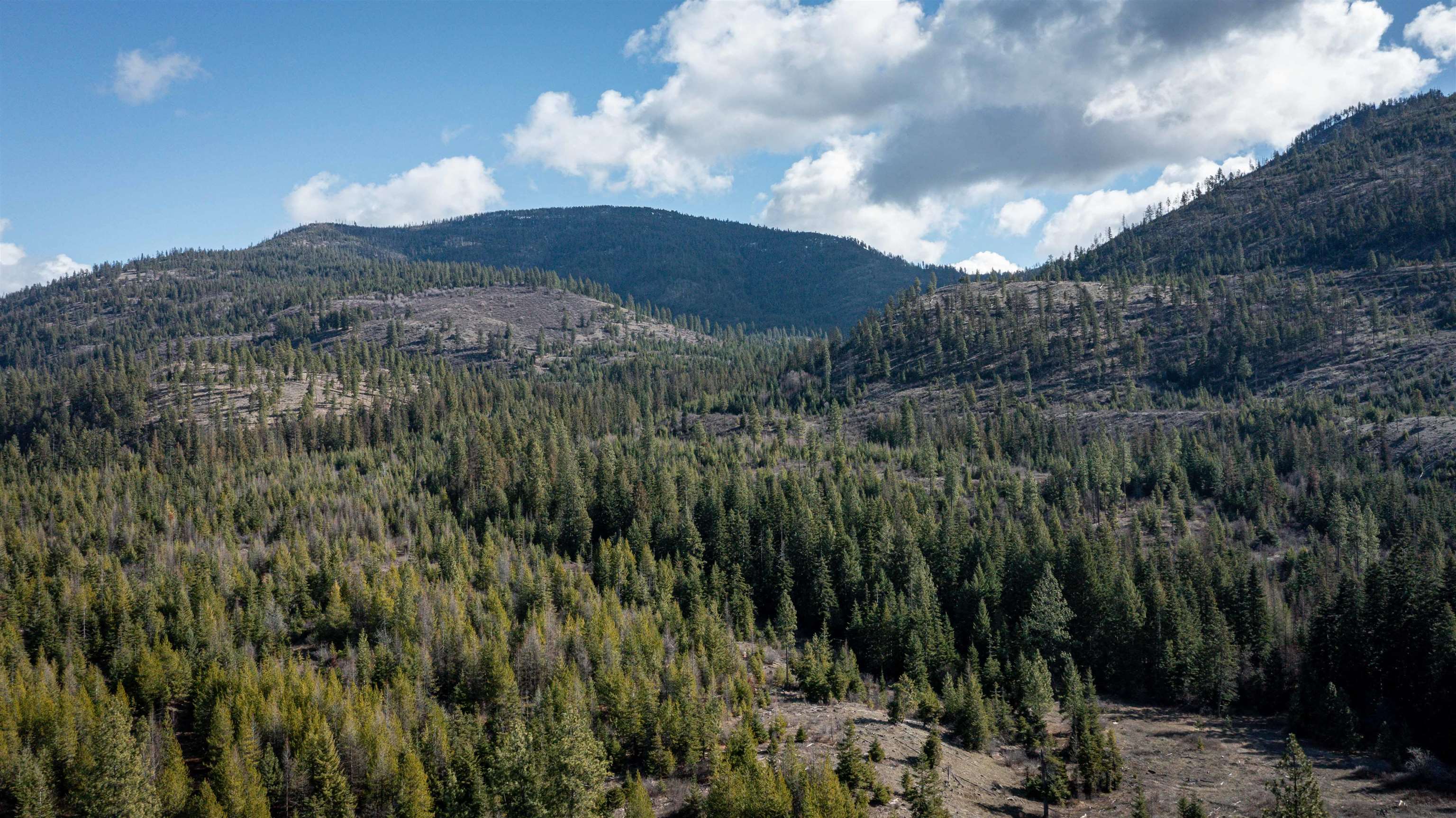 NKA USFS 326 Rd - Photo 37