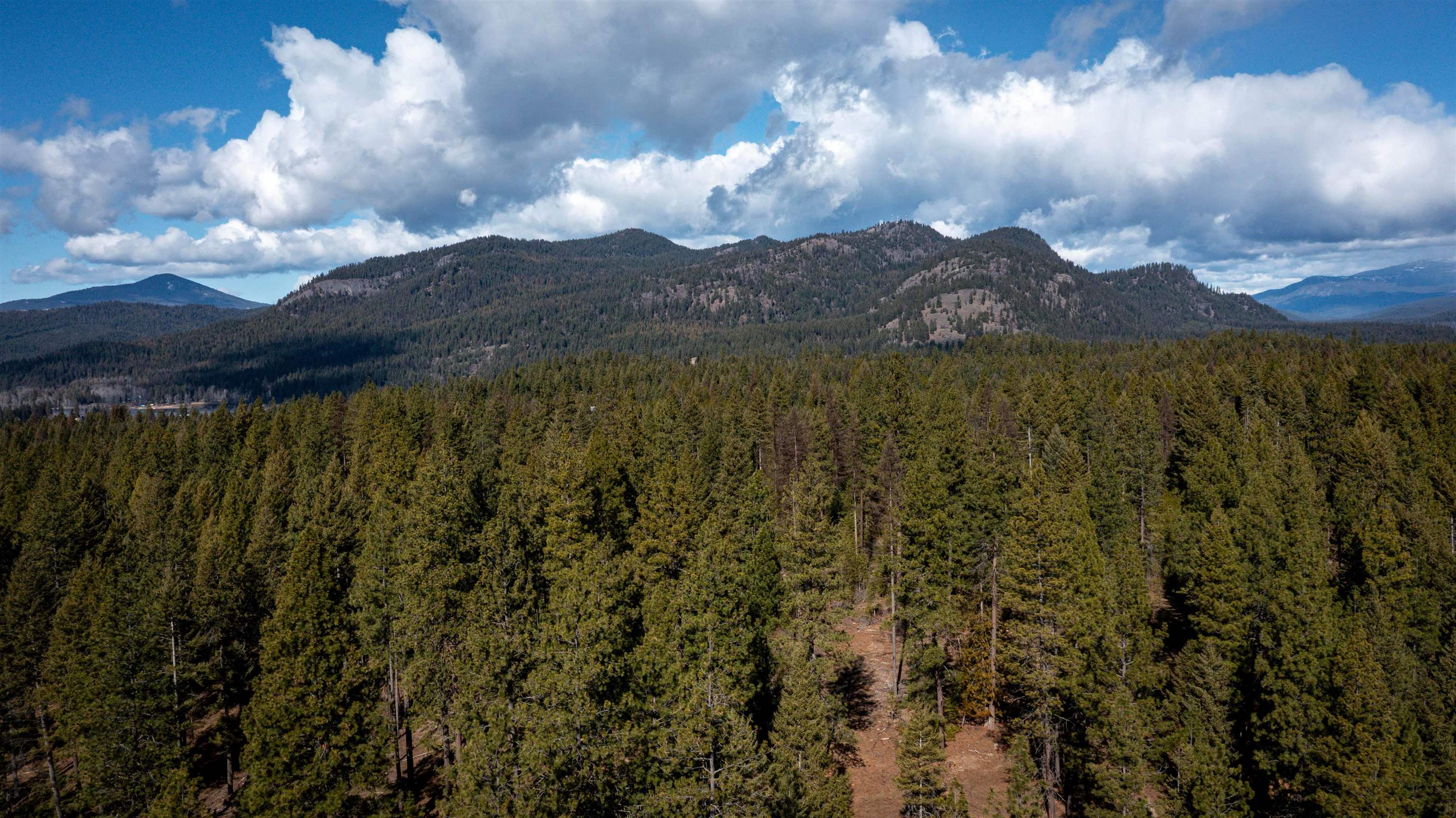 NKA USFS 326 Rd - Photo 38