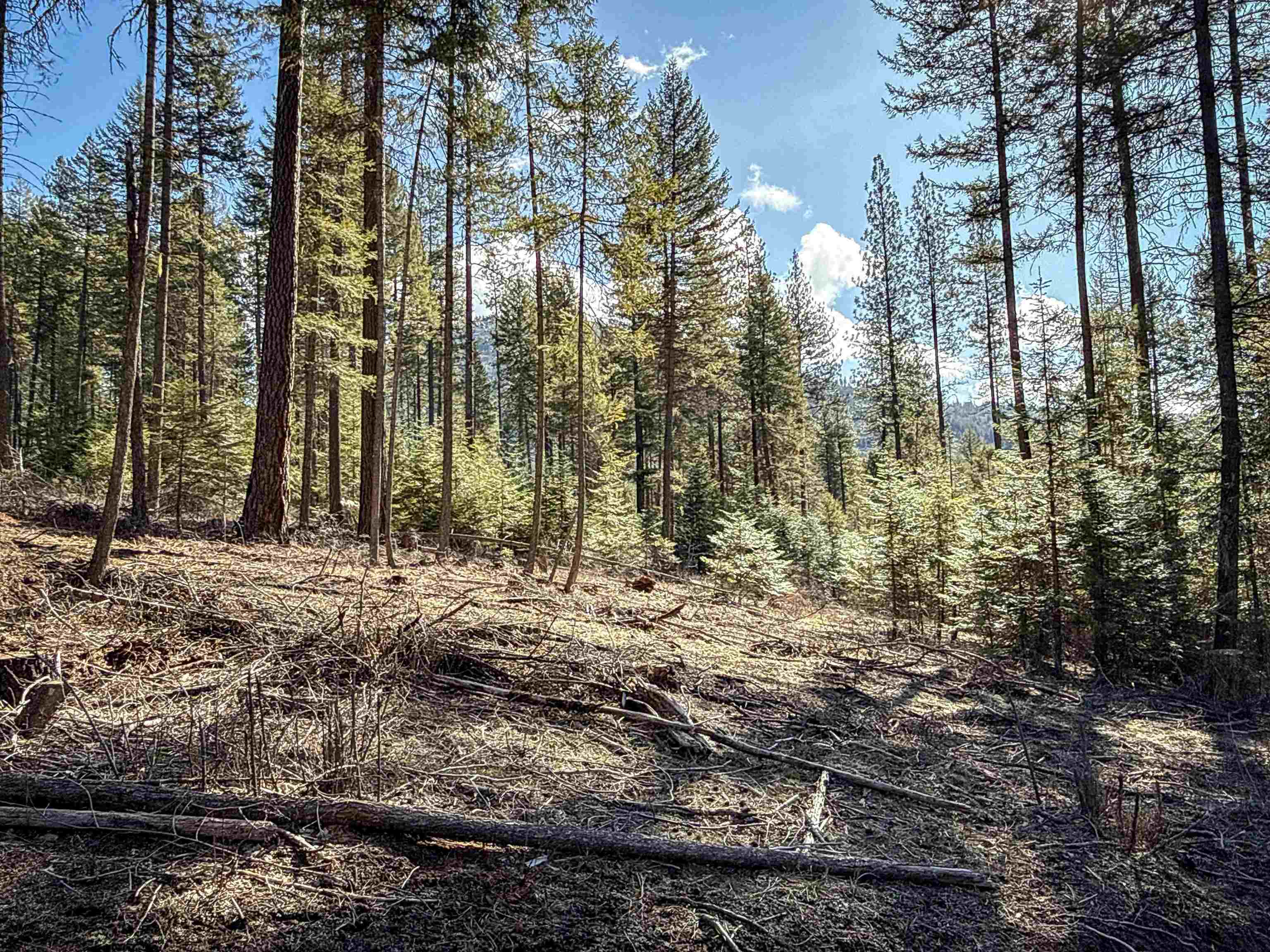 NKA USFS 326 Rd - Photo 5