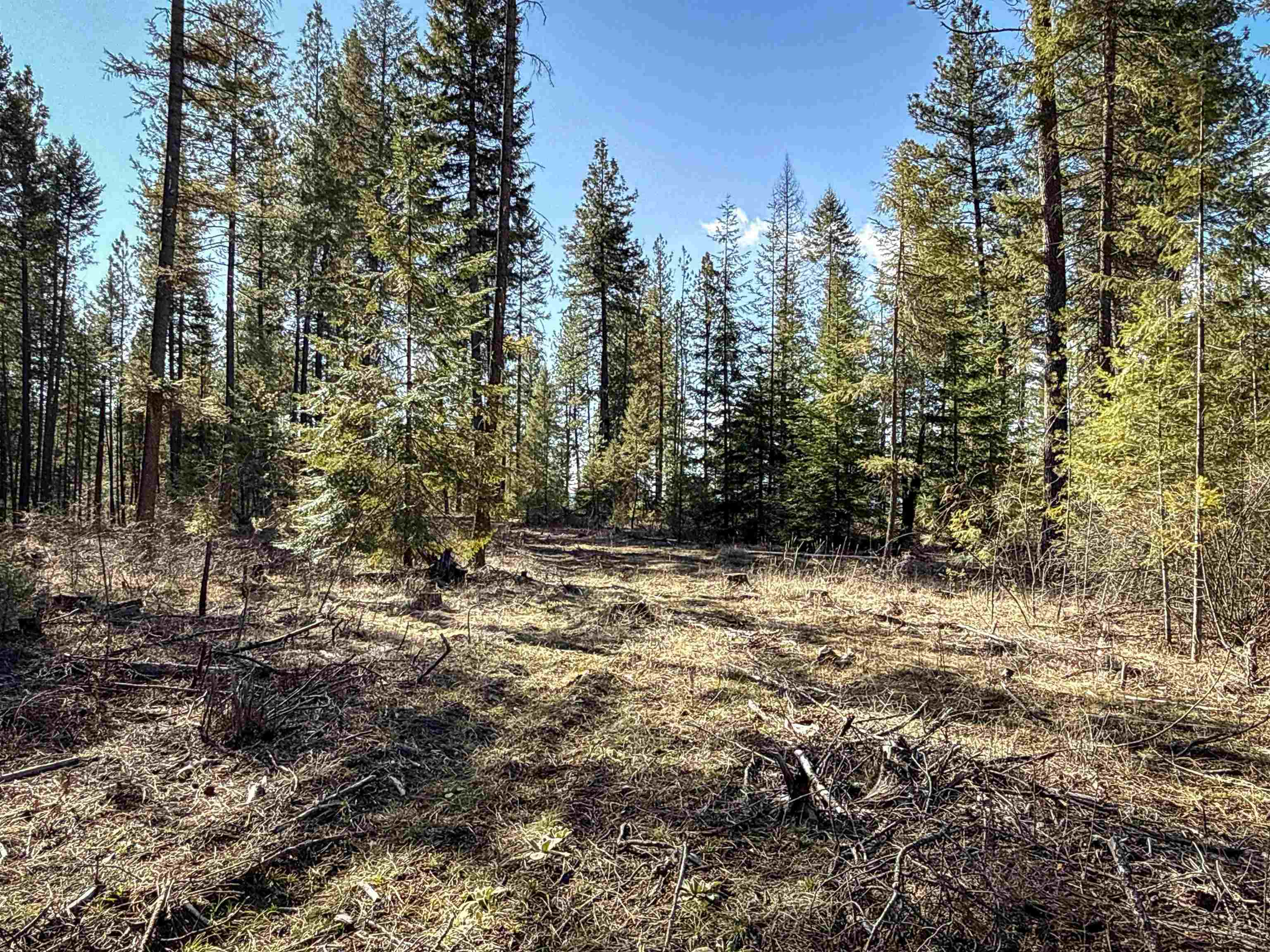 NKA USFS 326 Rd - Photo 9