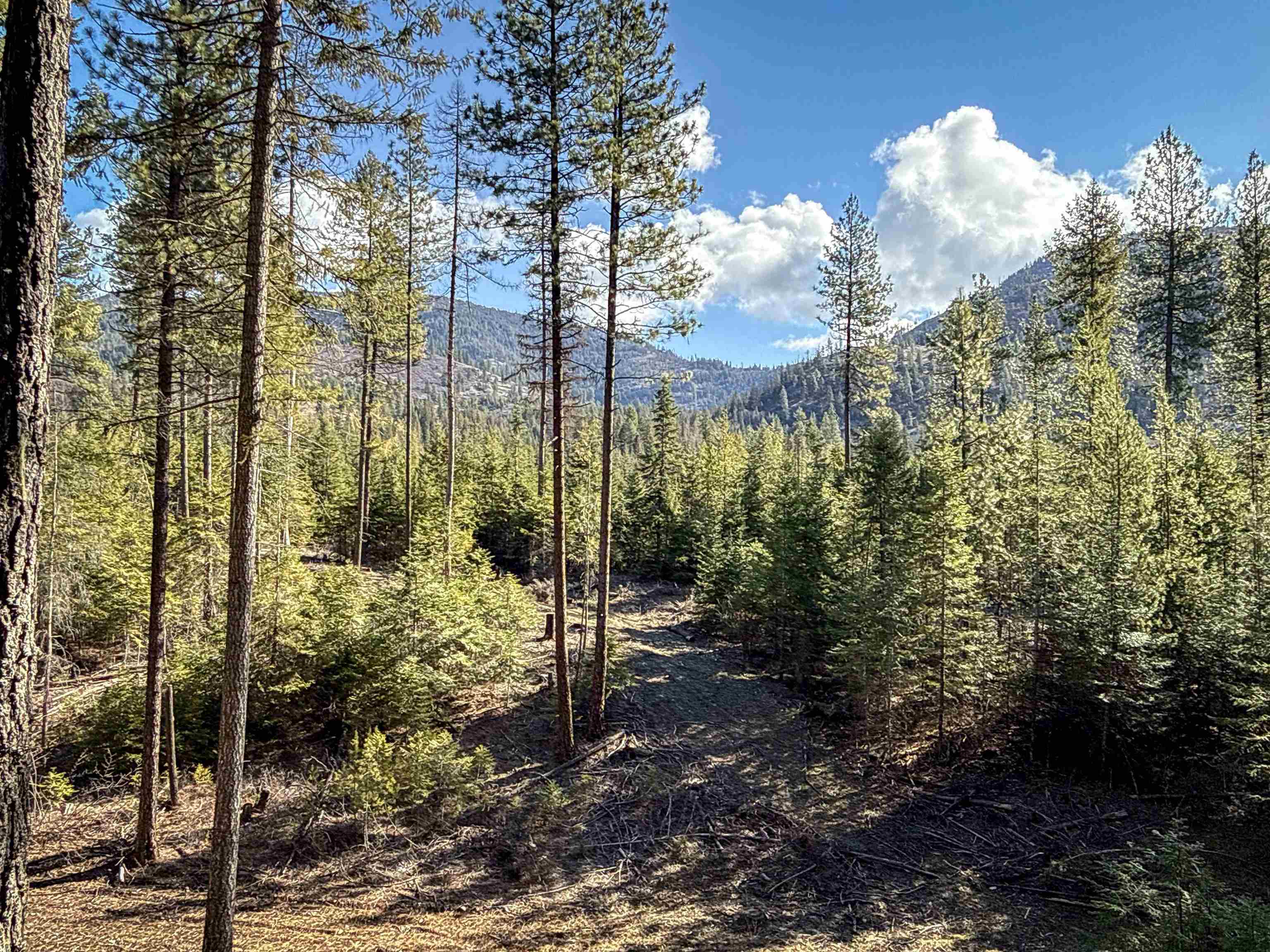NKA USFS 326 Rd - Photo 10