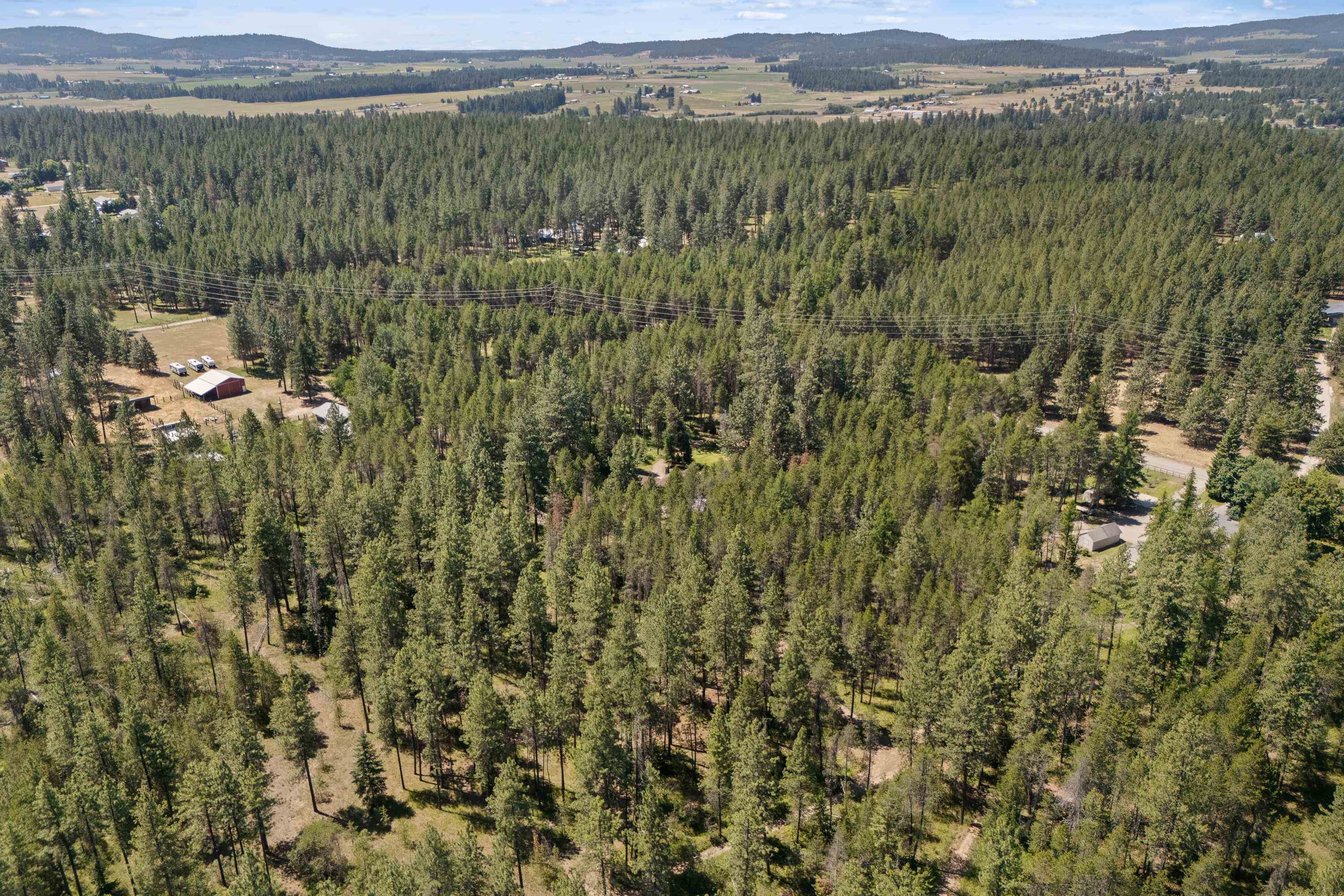 28310 N Short Rd - Photo 50