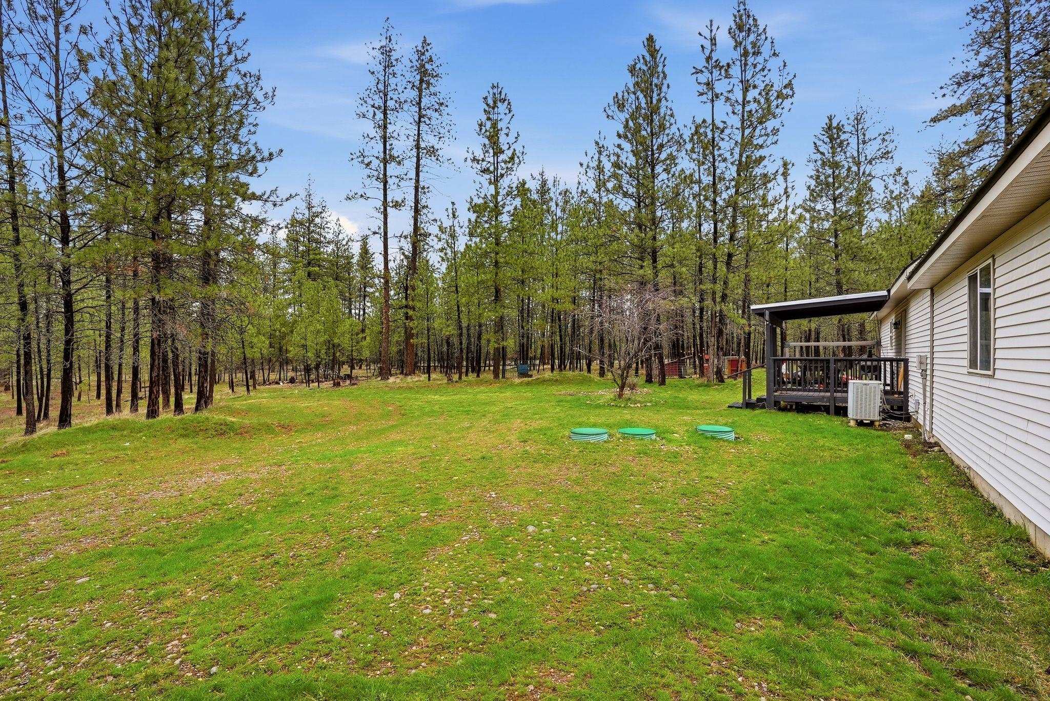 4806 Hwy 231 Hwy - Photo 29