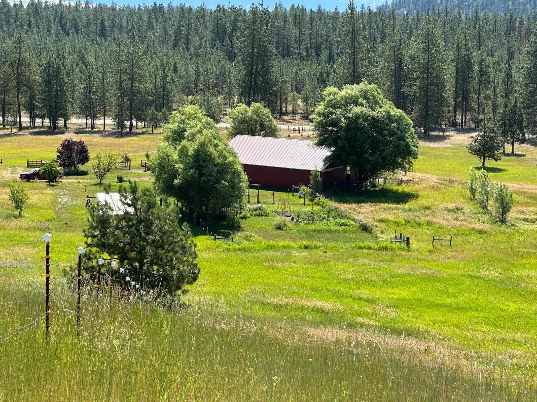1239 Kewa Meteor Rd - Photo 2