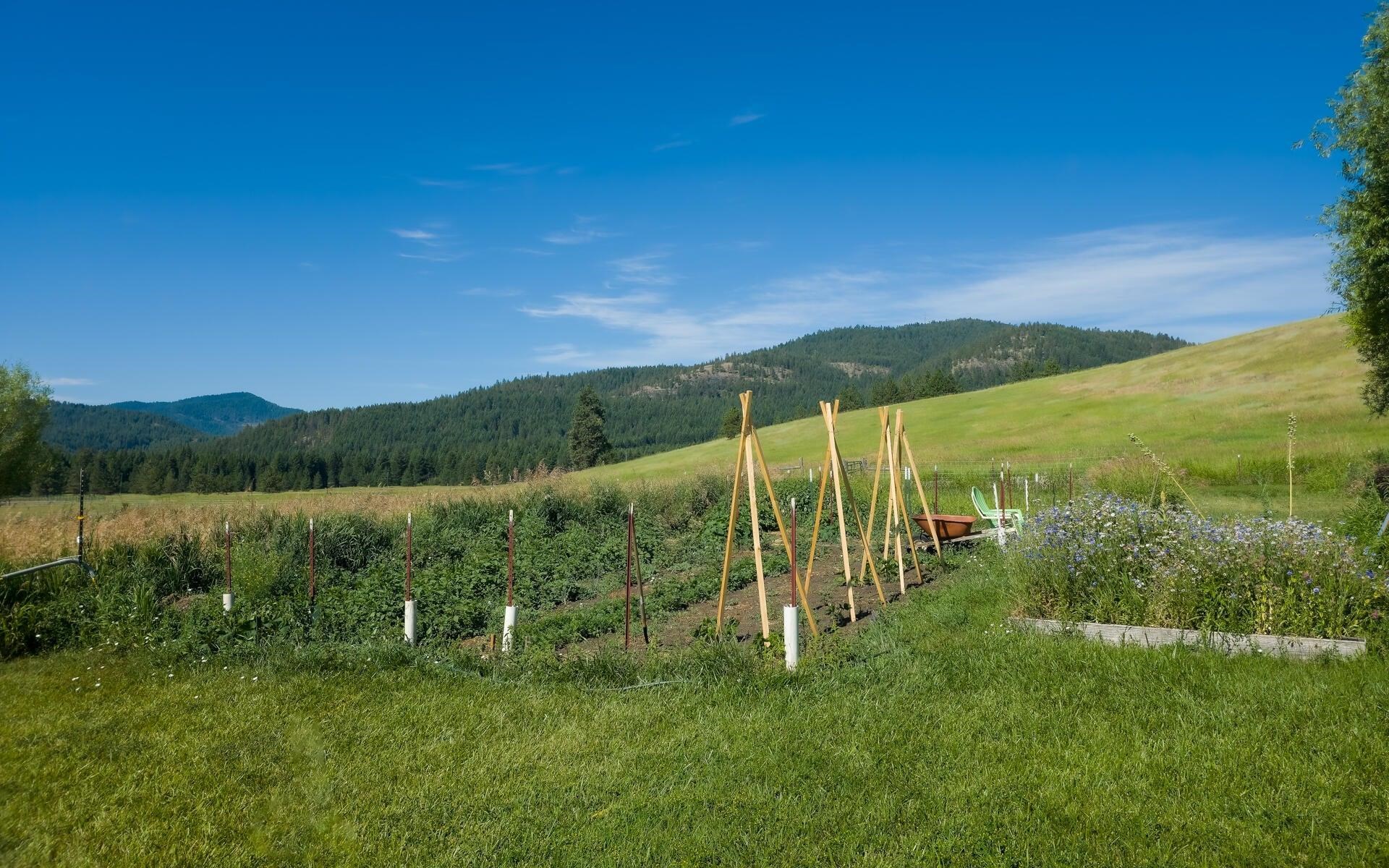1239 Kewa Meteor Rd - Photo 24