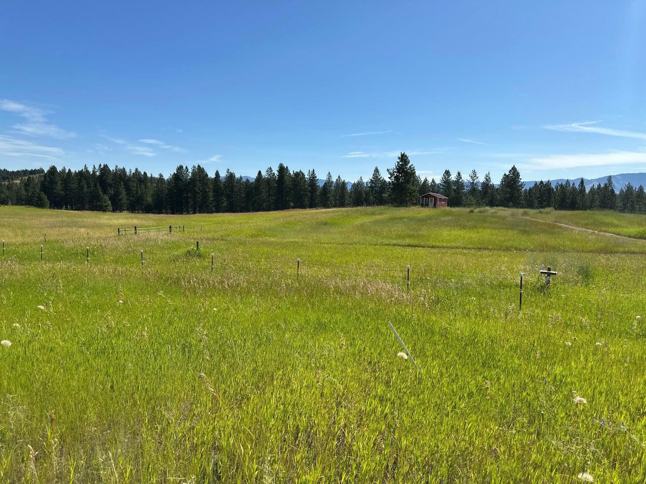 1239 Kewa Meteor Rd - Photo 37