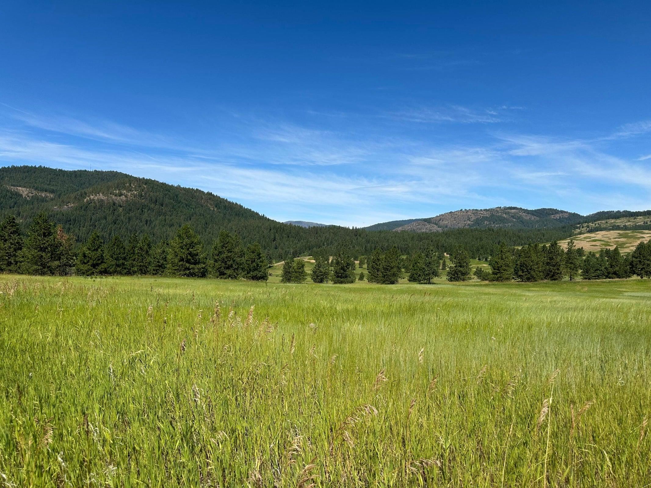 1239 Kewa Meteor Rd - Photo 38