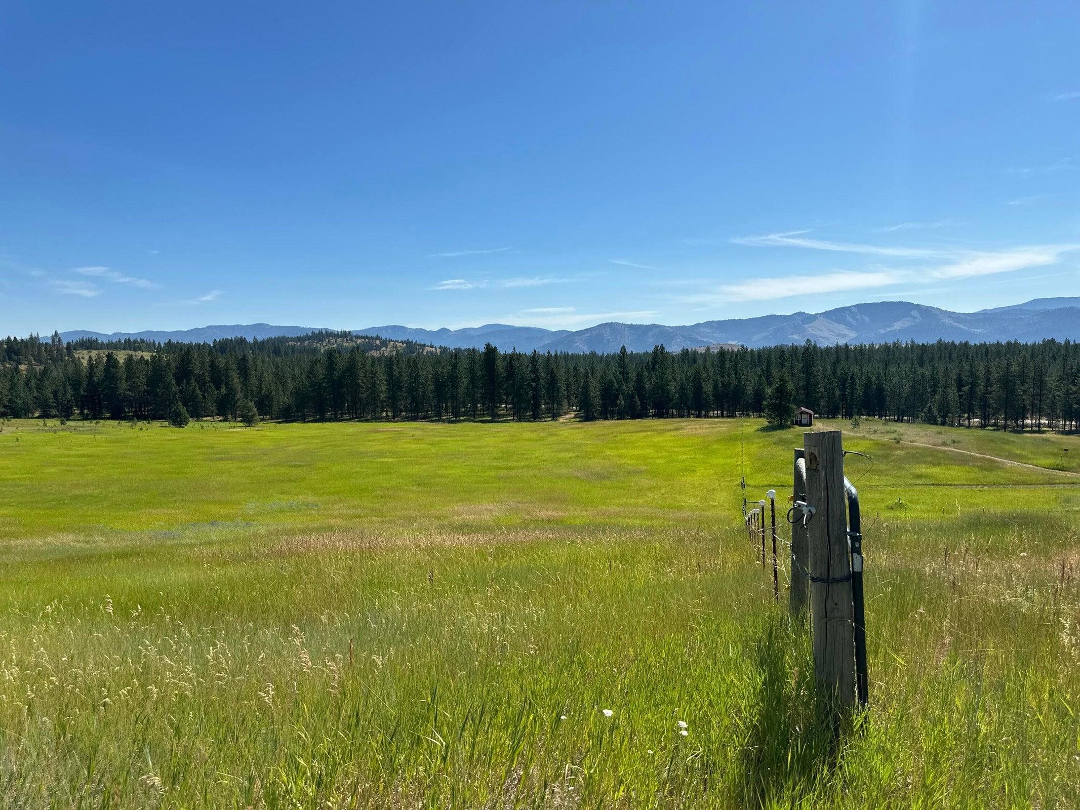 1239 Kewa Meteor Rd - Photo 39