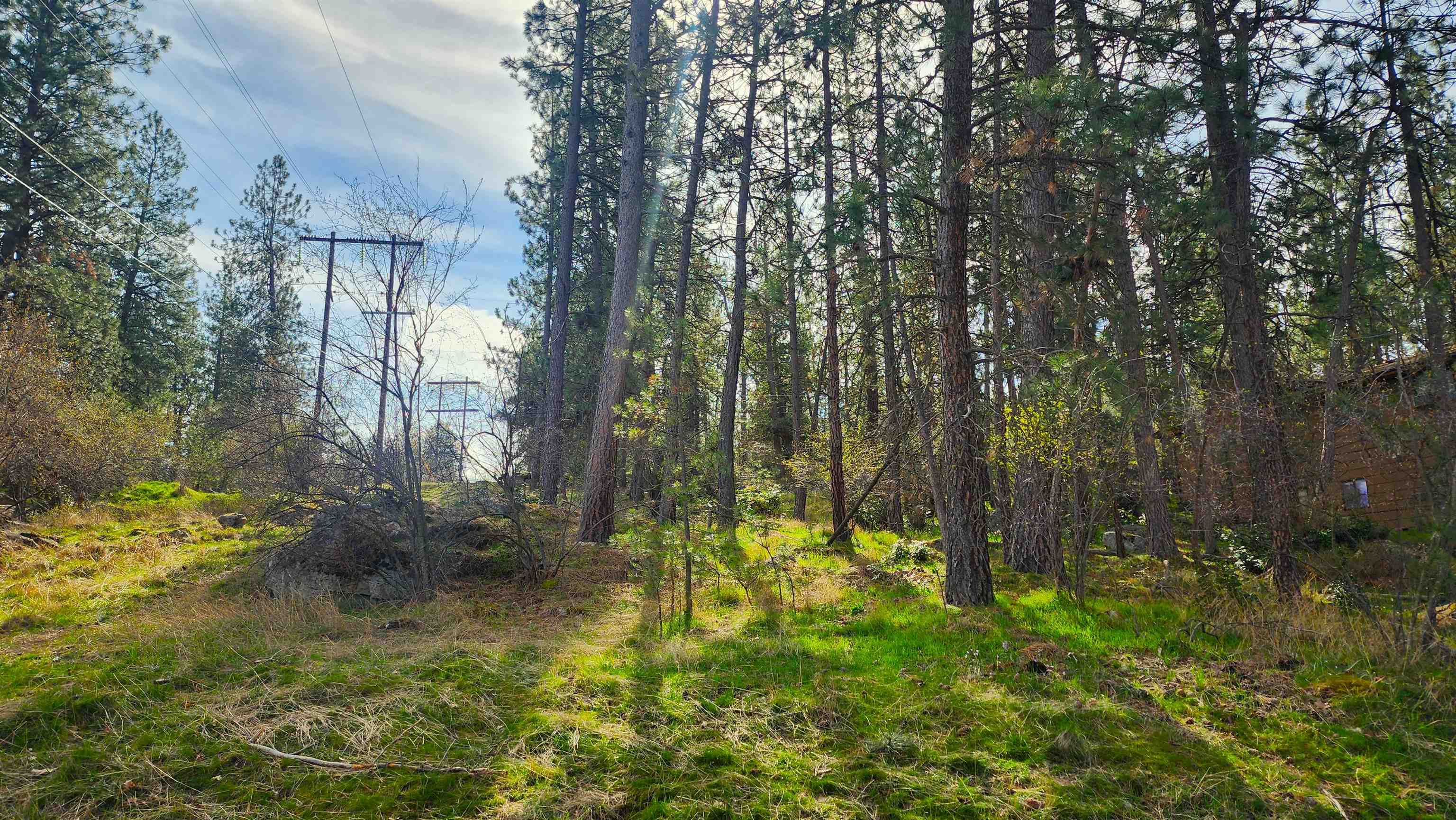 1815 S Eastern Road Rd - Photo 15