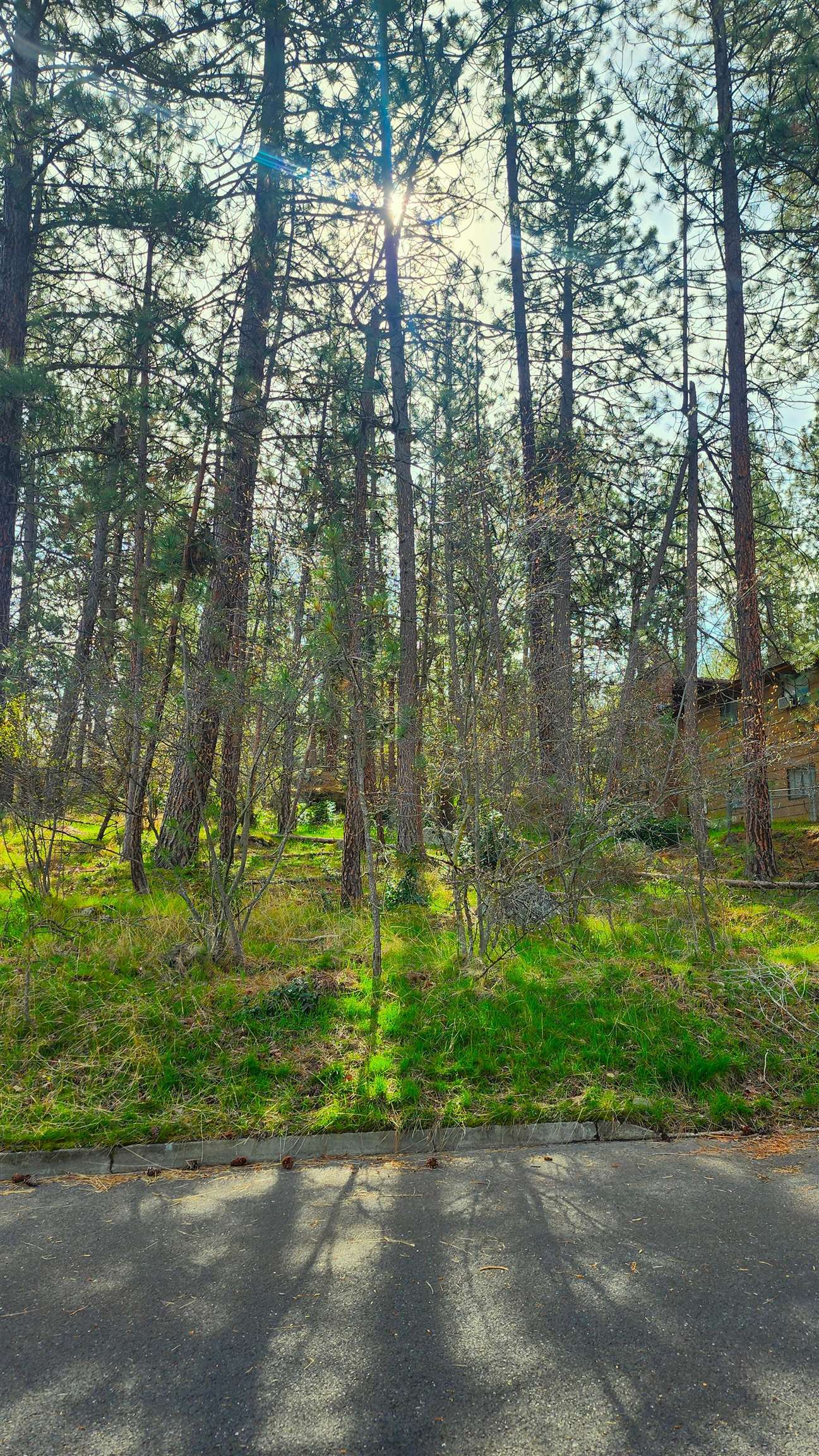 1815 S Eastern Road Rd - Photo 18