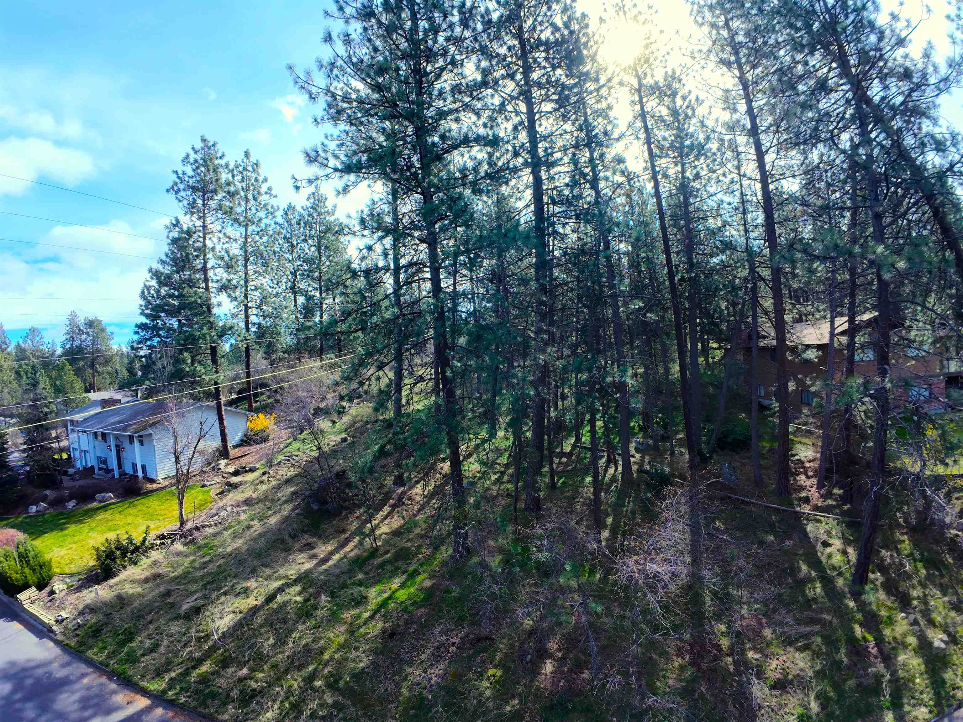 1815 S Eastern Road Rd - Photo 20