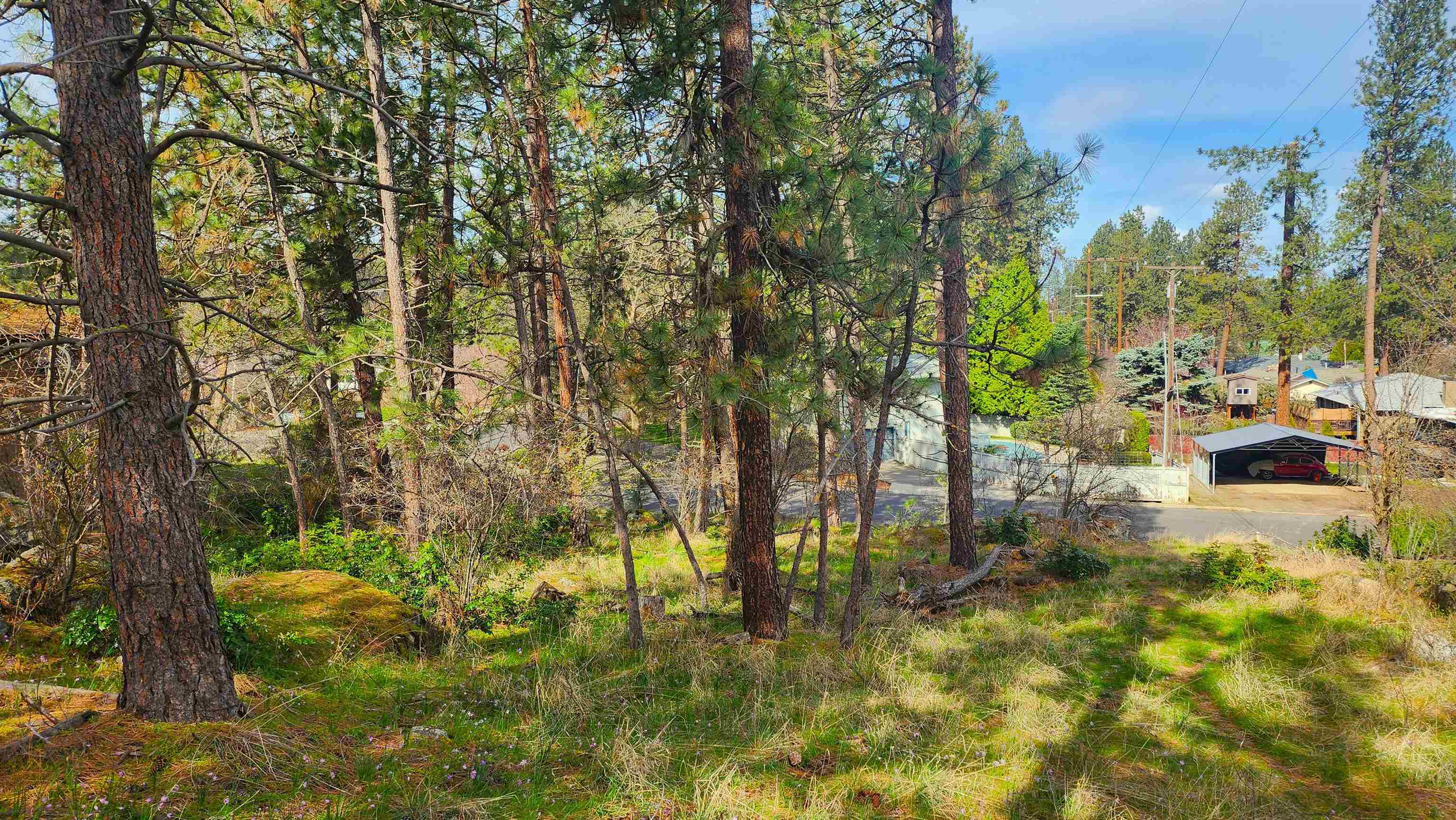 1815 S Eastern Road Rd - Photo 3