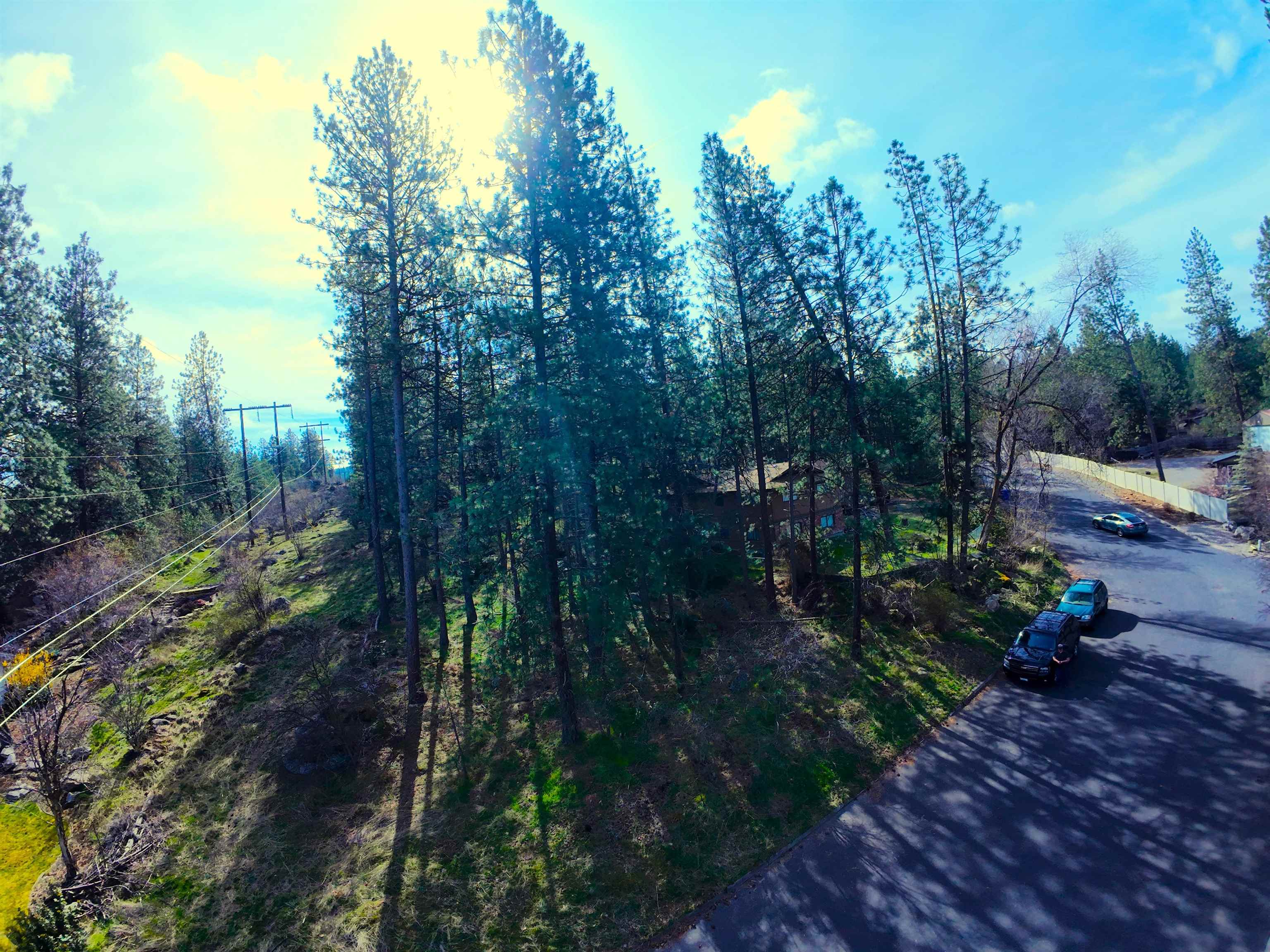 1815 S Eastern Road Rd - Photo 4