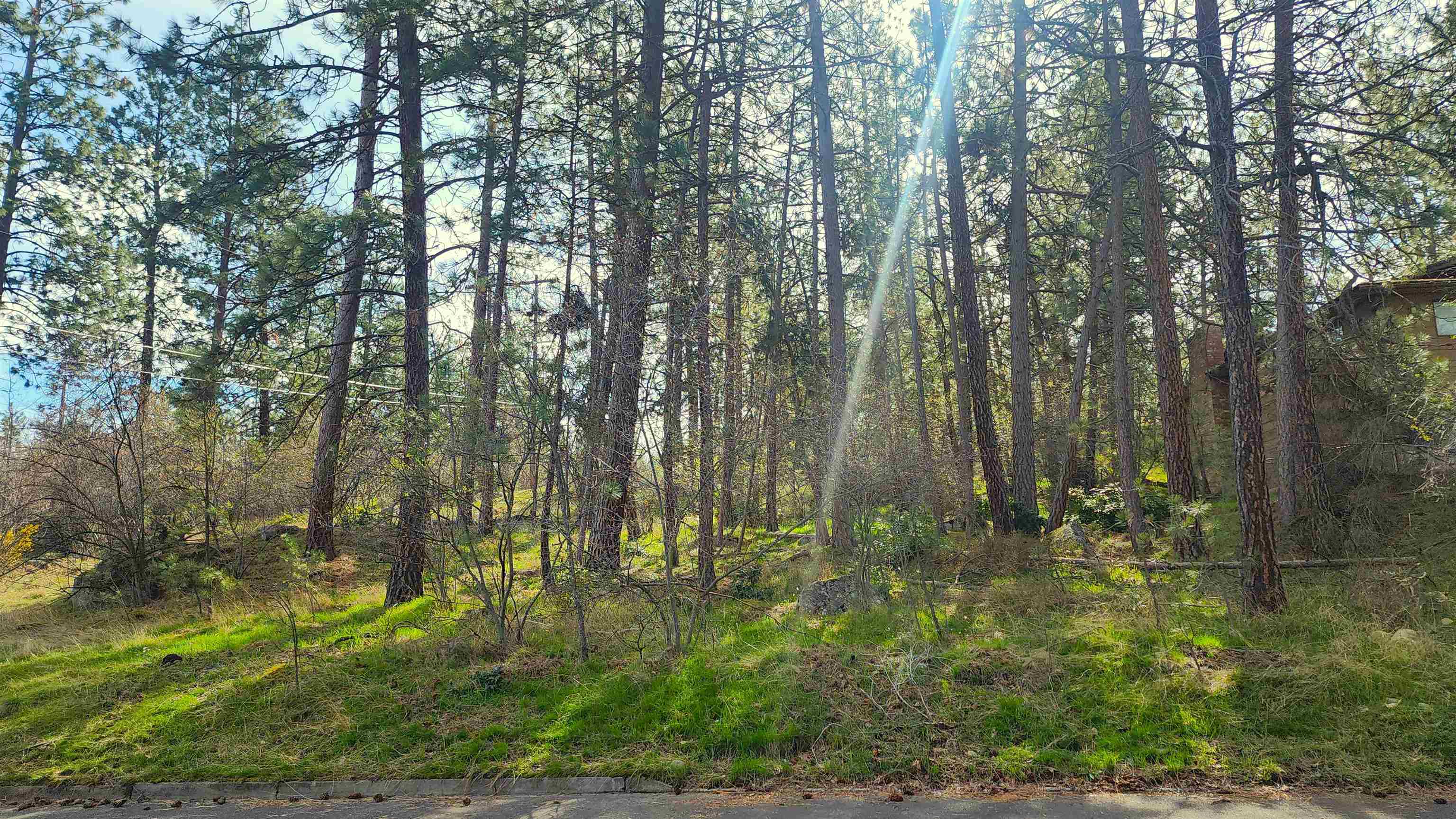 1815 S Eastern Road Rd - Photo 5