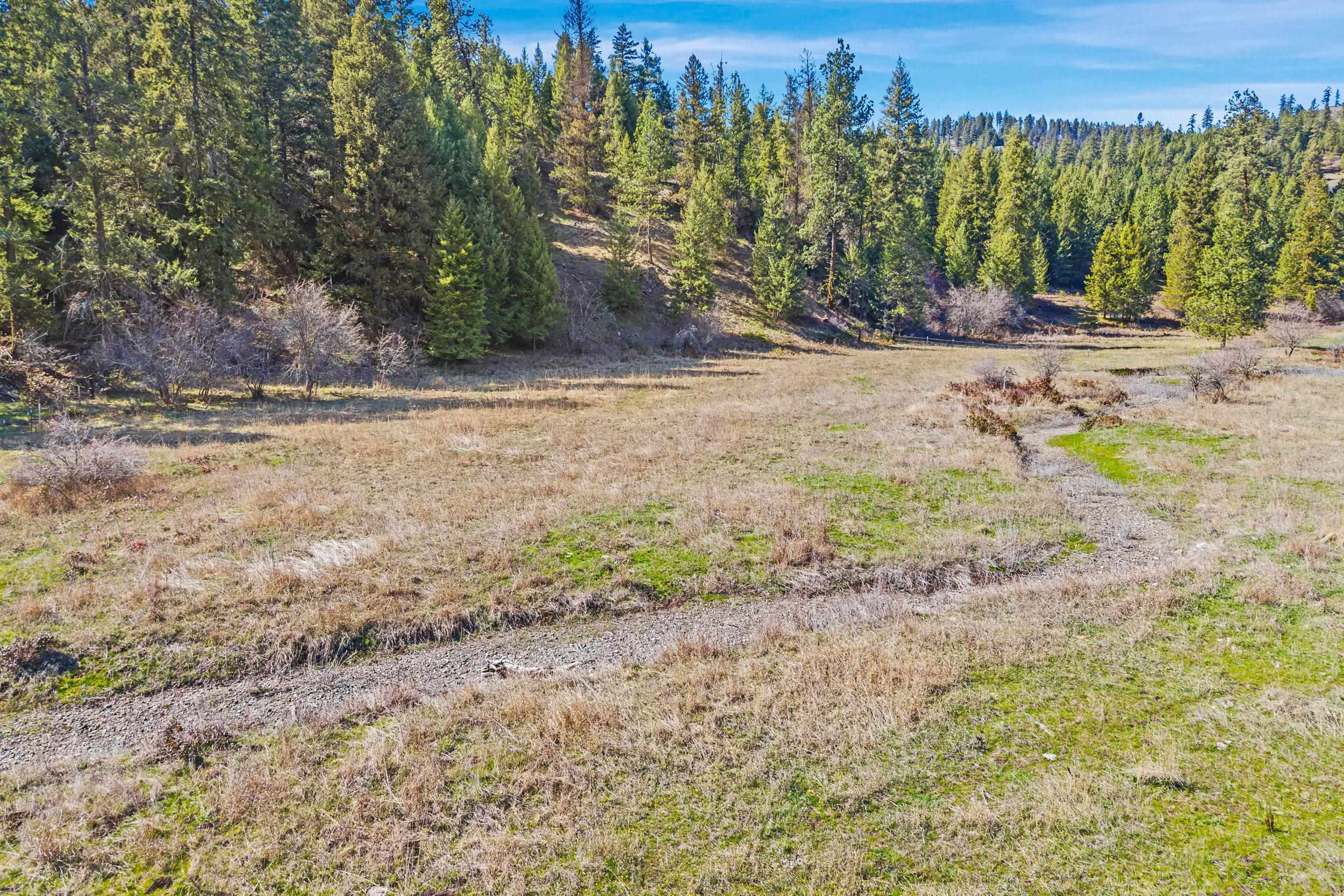 TBD Pierre Lake Rd - Photo 6