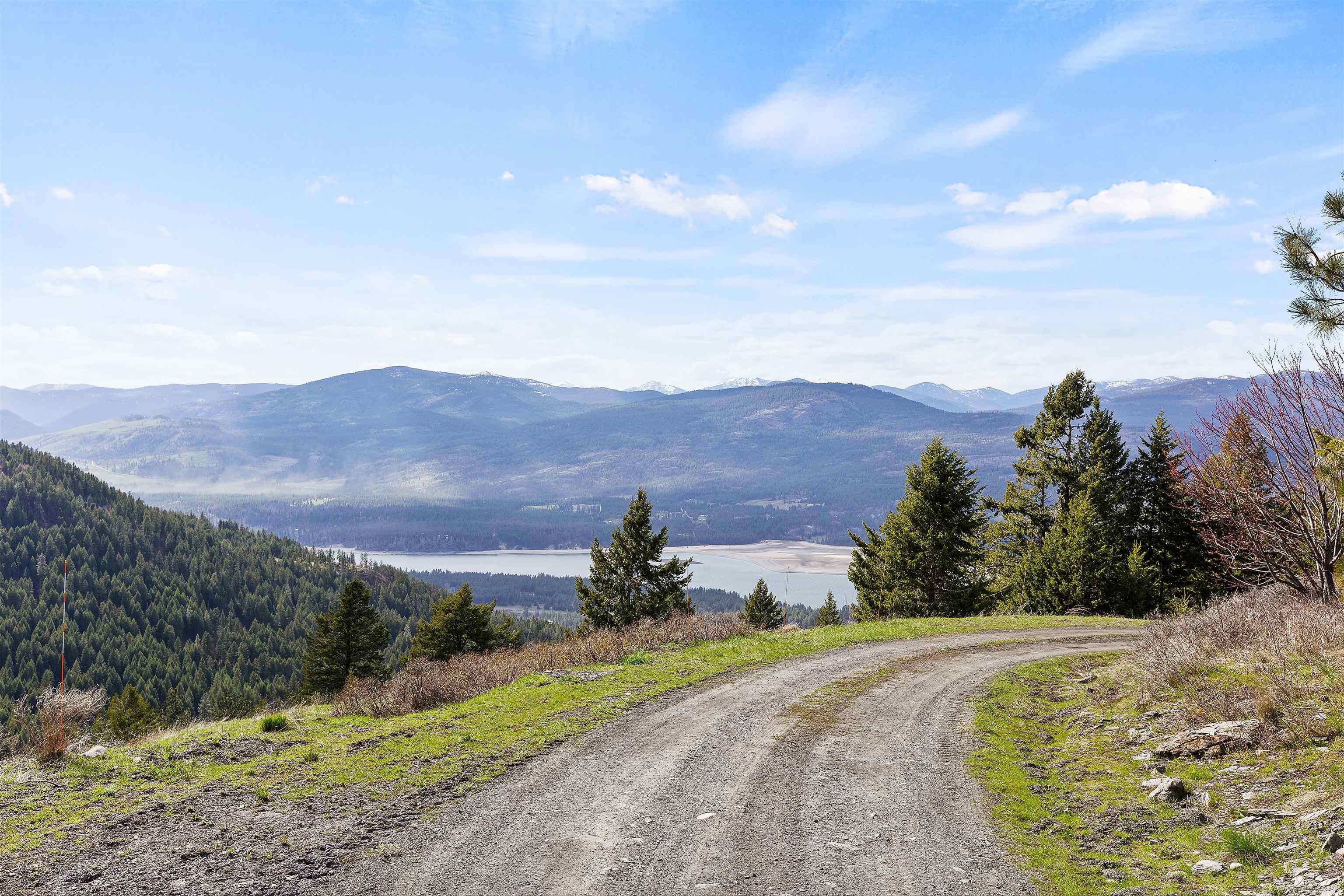 1295 Mingo Mountain Rd - Photo 41