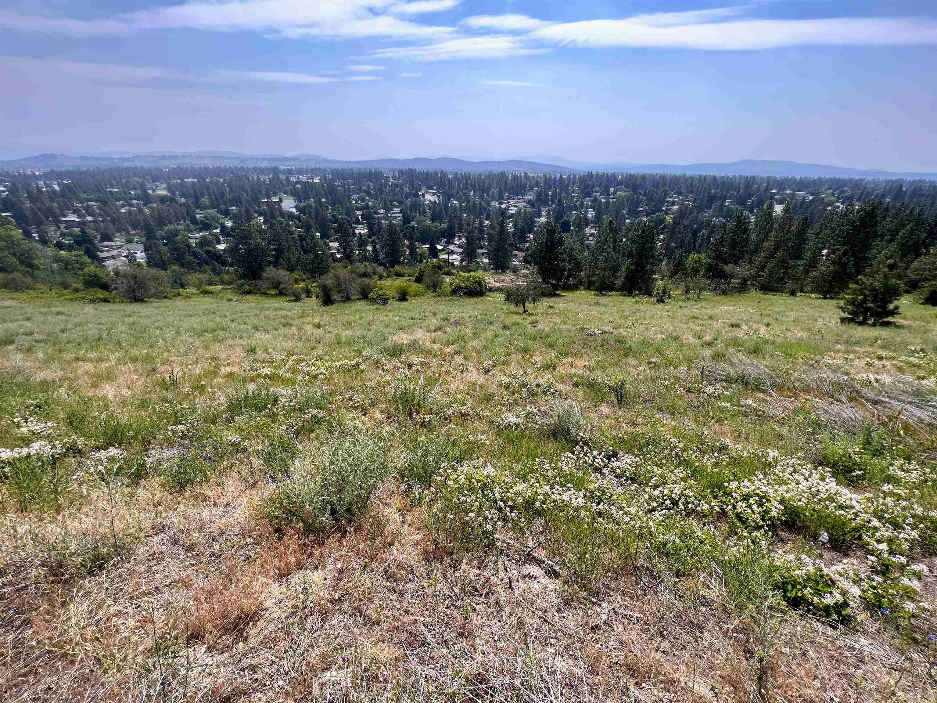 82XX N Cedar Rd - Photo 7