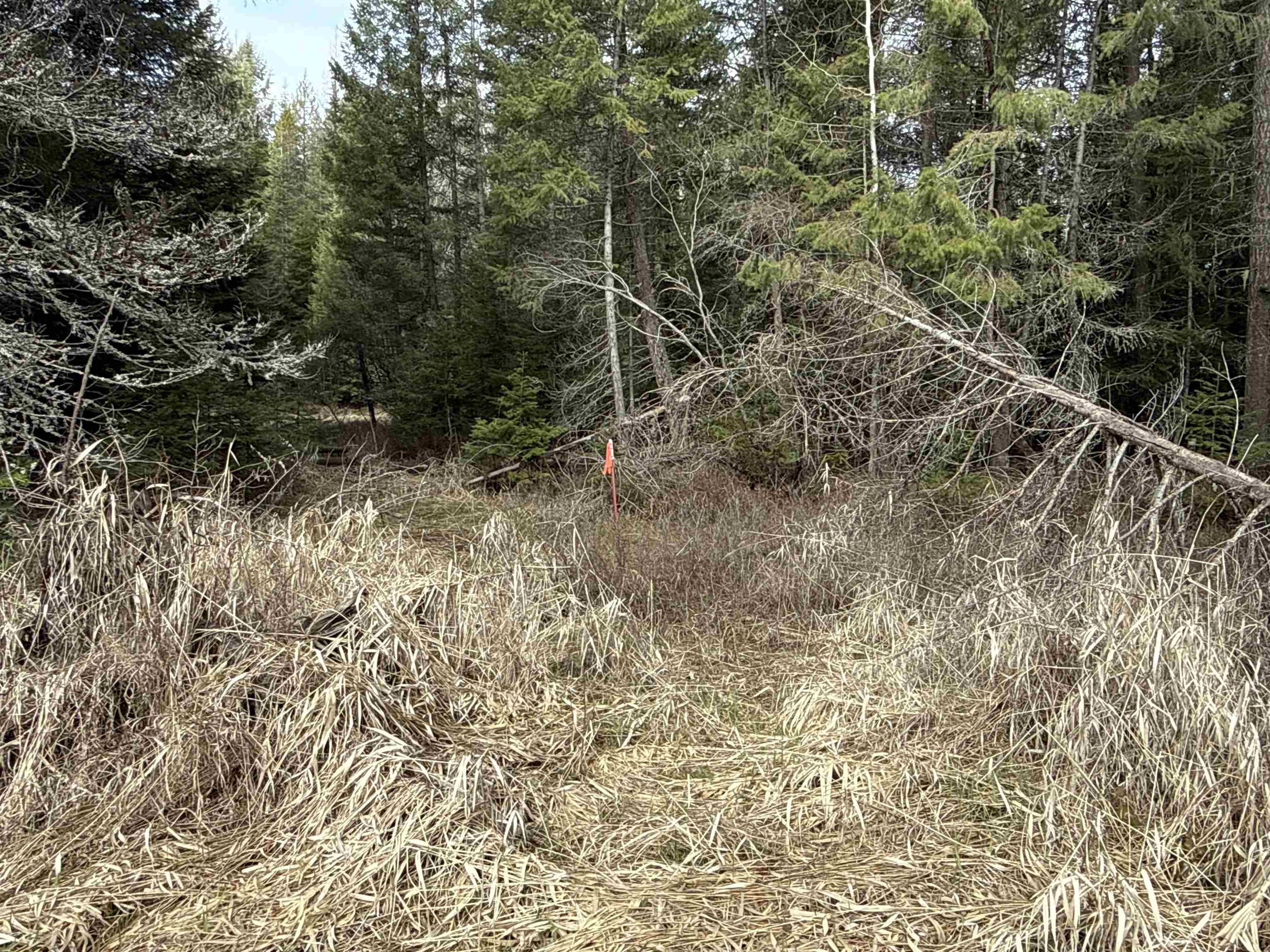 NKA Eagle Ridge Way - Photo 11