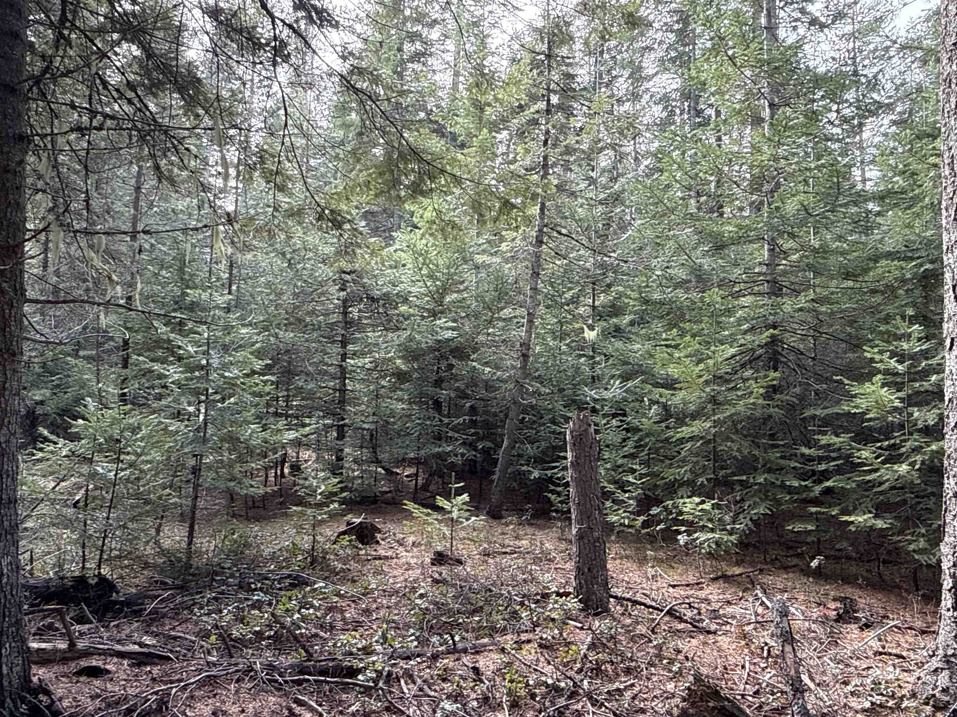 NKA Eagle Ridge Way - Photo 19