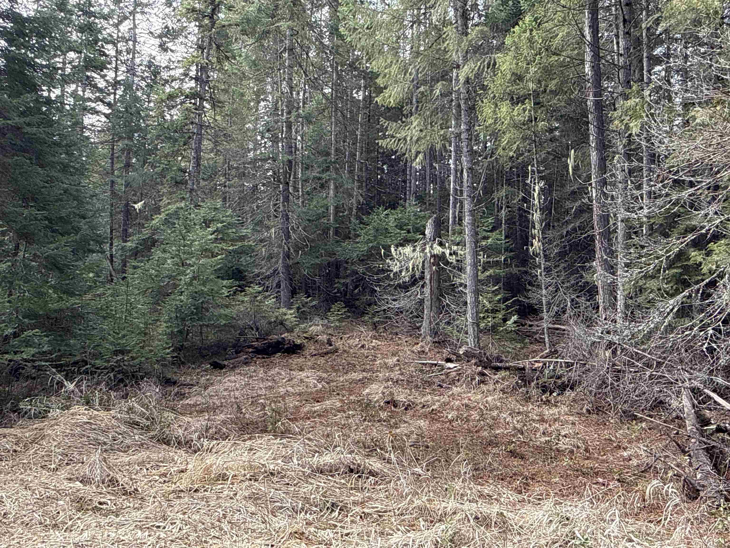 NKA Eagle Ridge Way - Photo 22