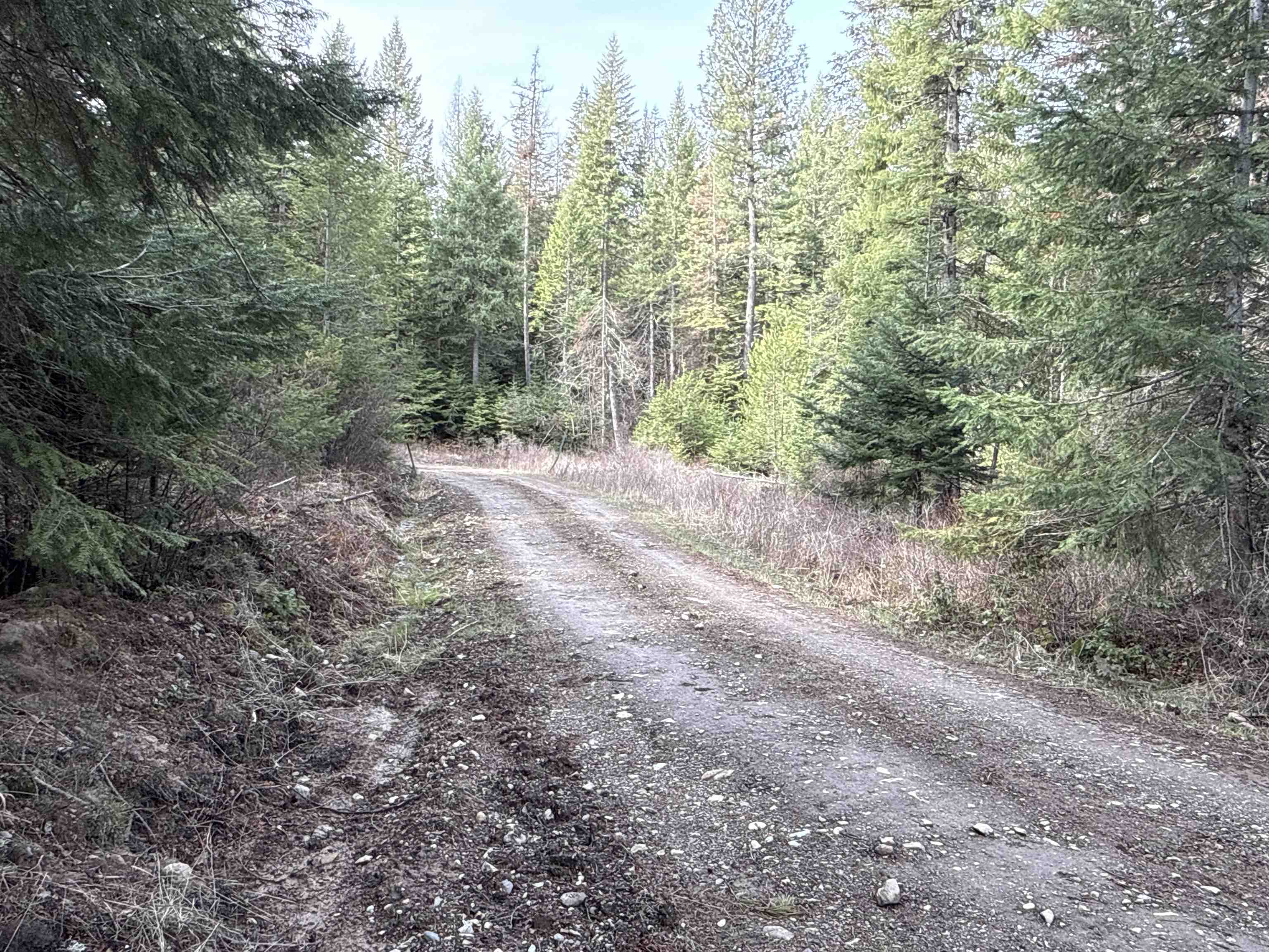 NKA Eagle Ridge Way - Photo 4