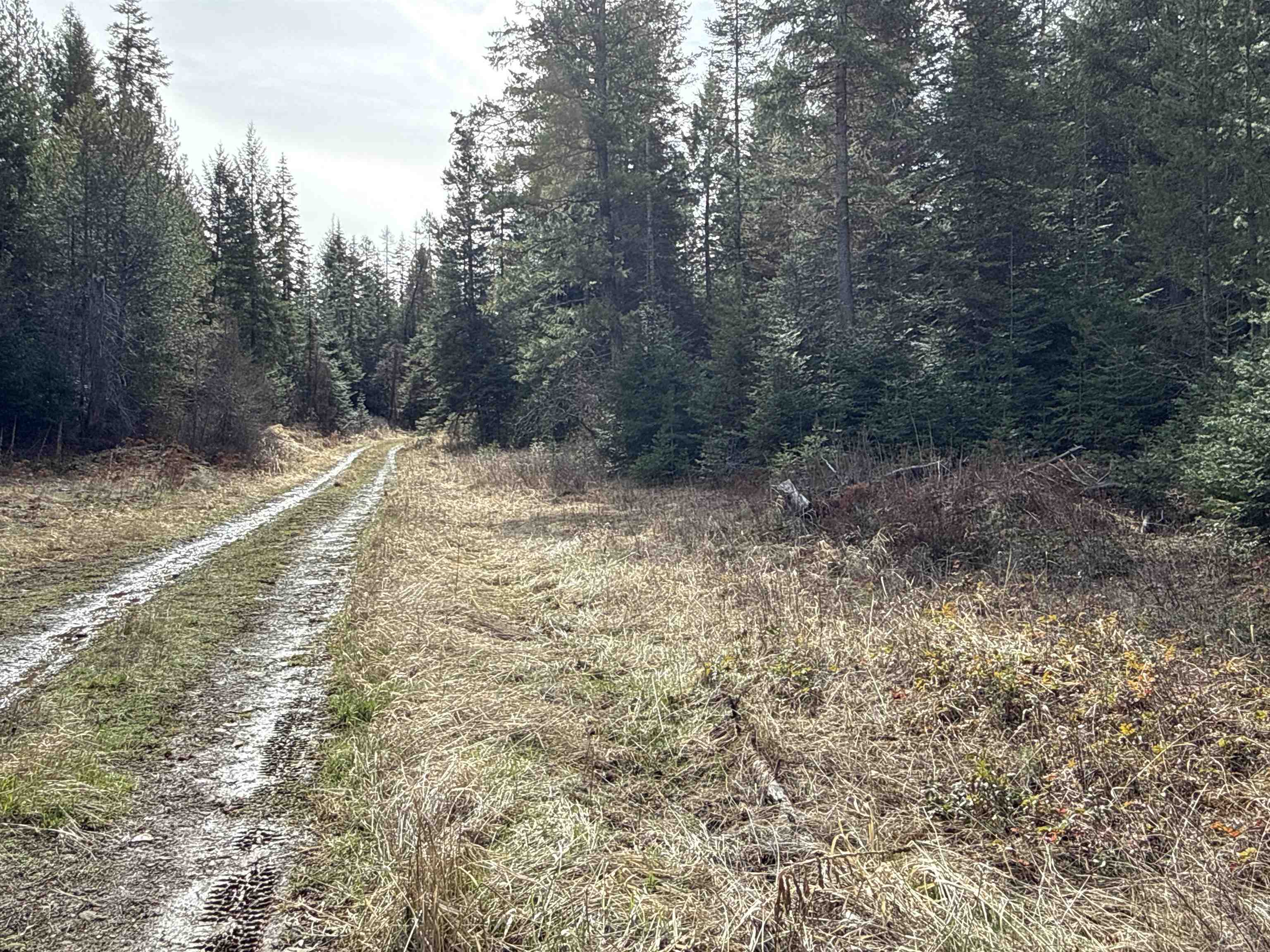 NKA Eagle Ridge Way - Photo 7