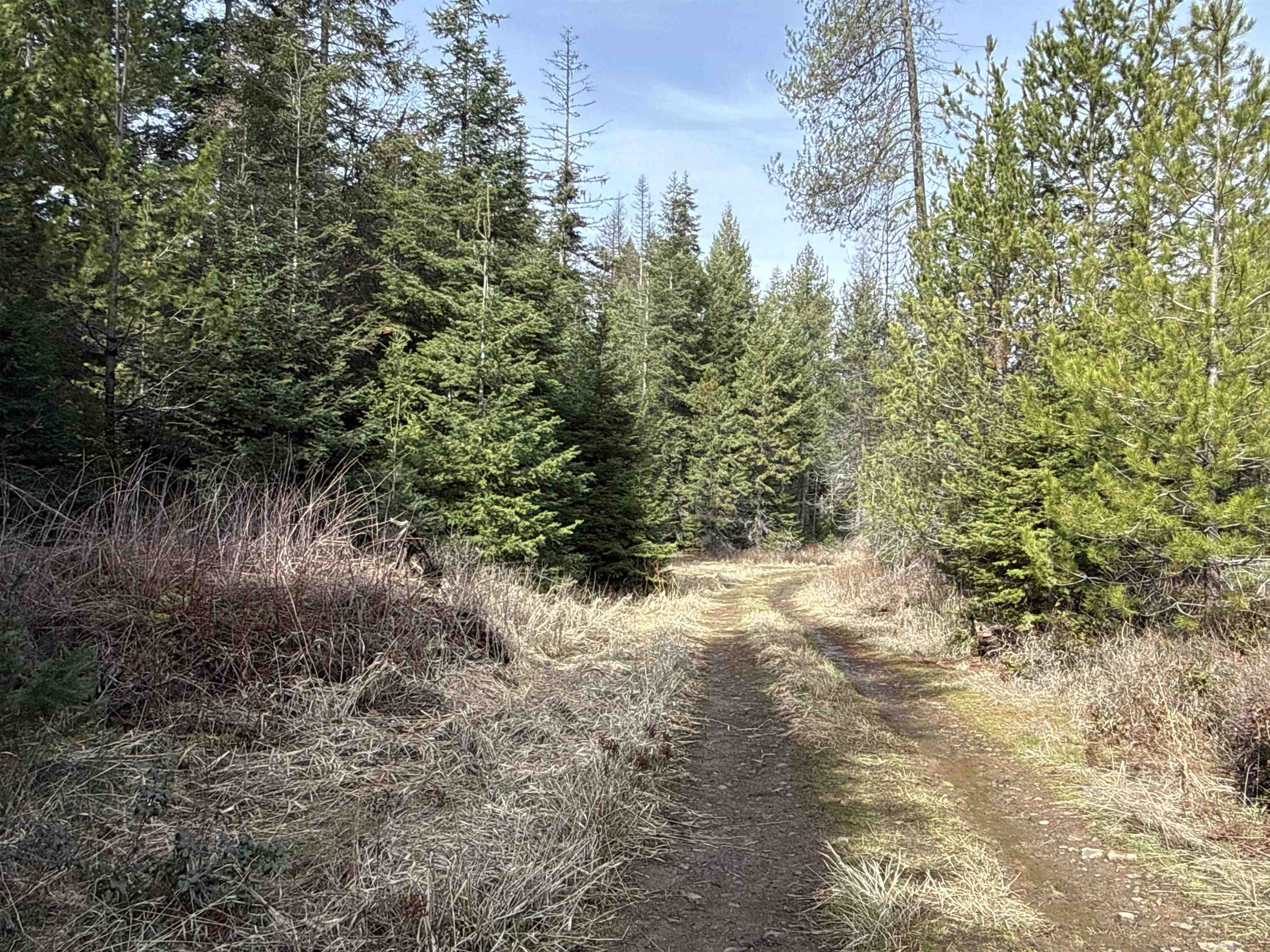 NKA Eagle Ridge Way - Photo 8