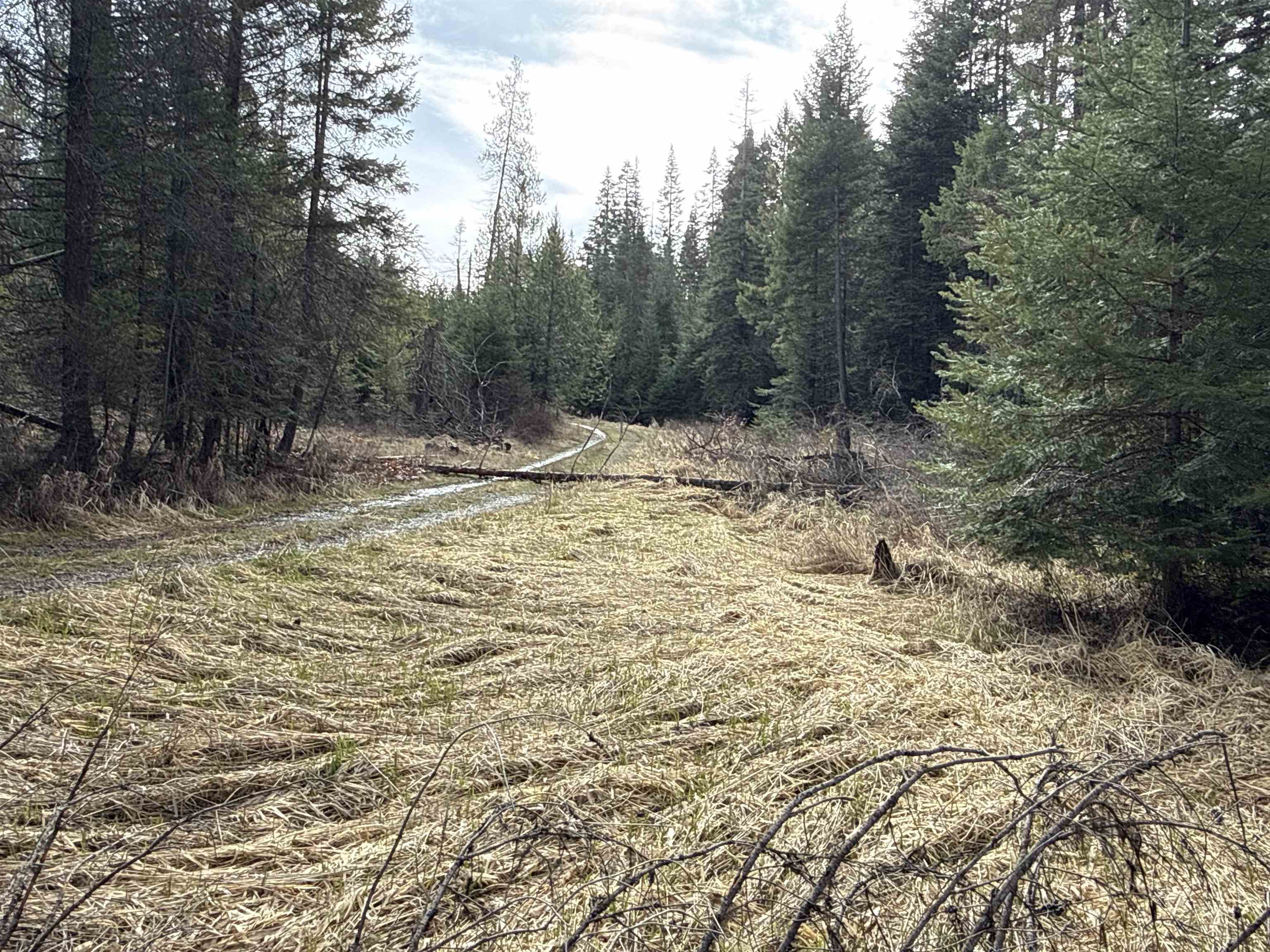 NKA Eagle Ridge Way - Photo 10
