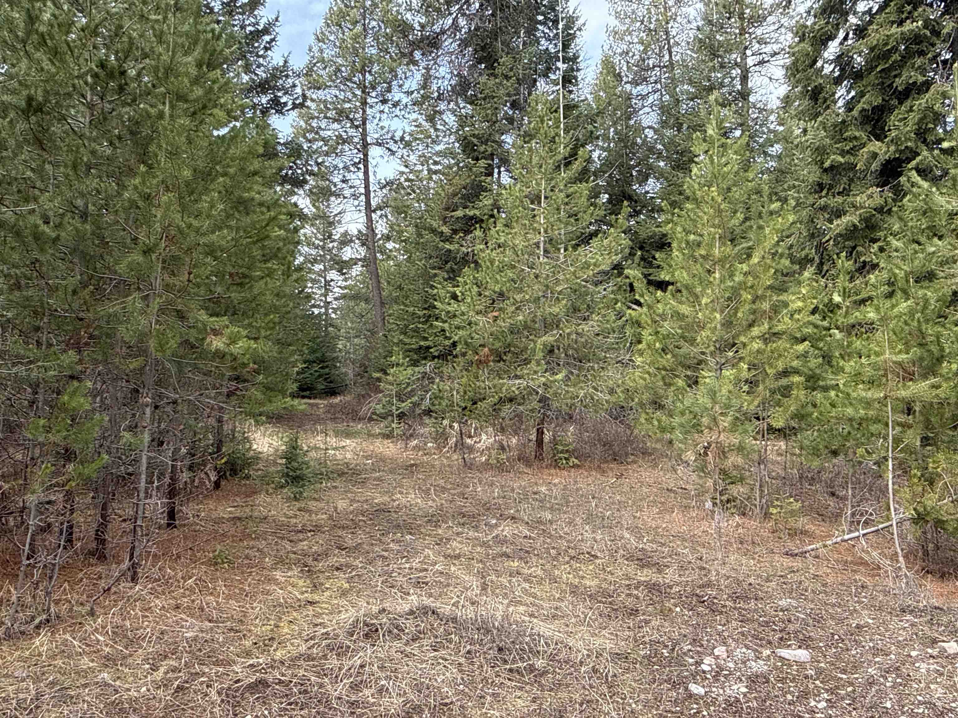4828 Eagle Ridge Way - Photo 1