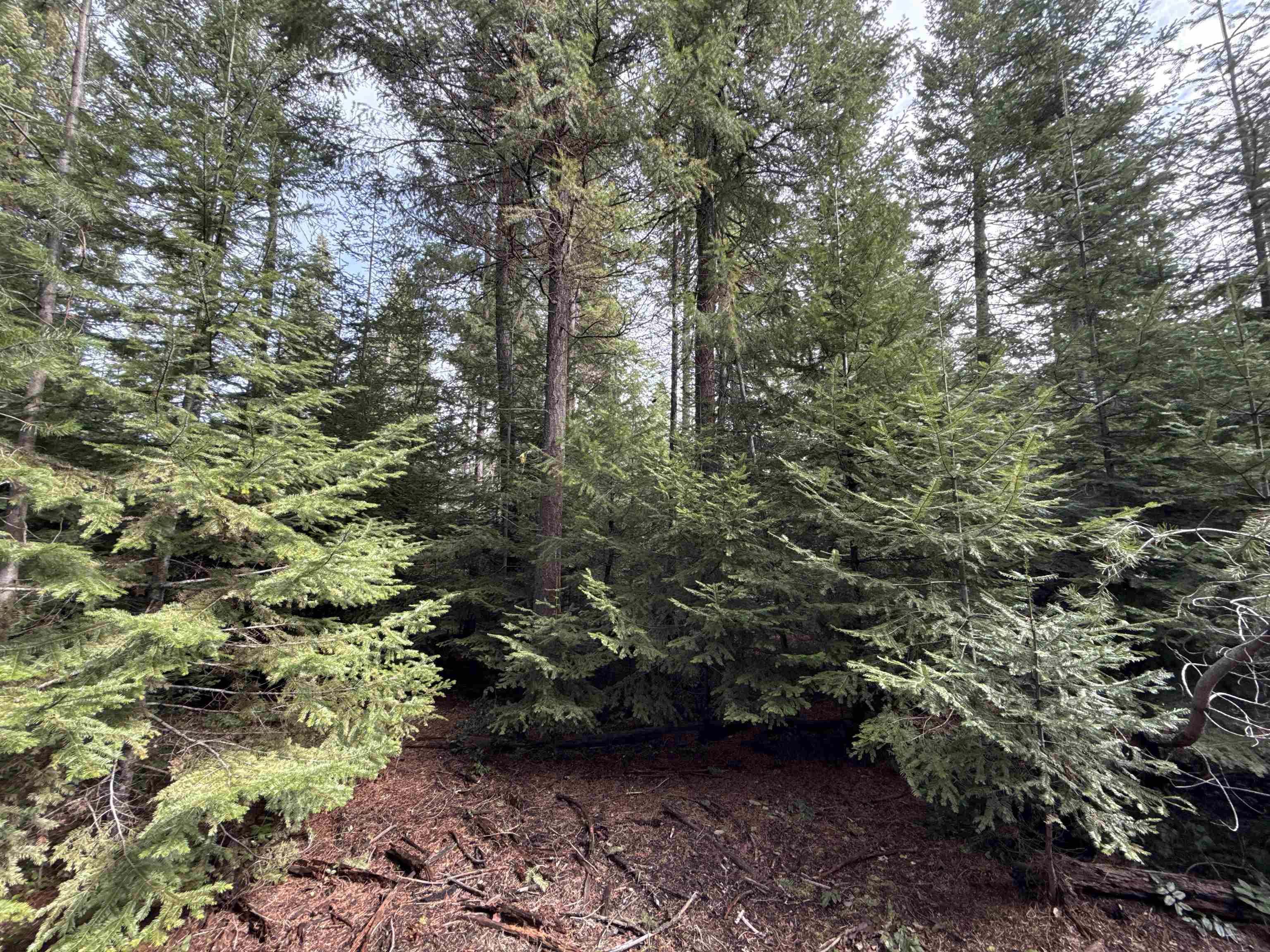 4828 Eagle Ridge Way - Photo 4