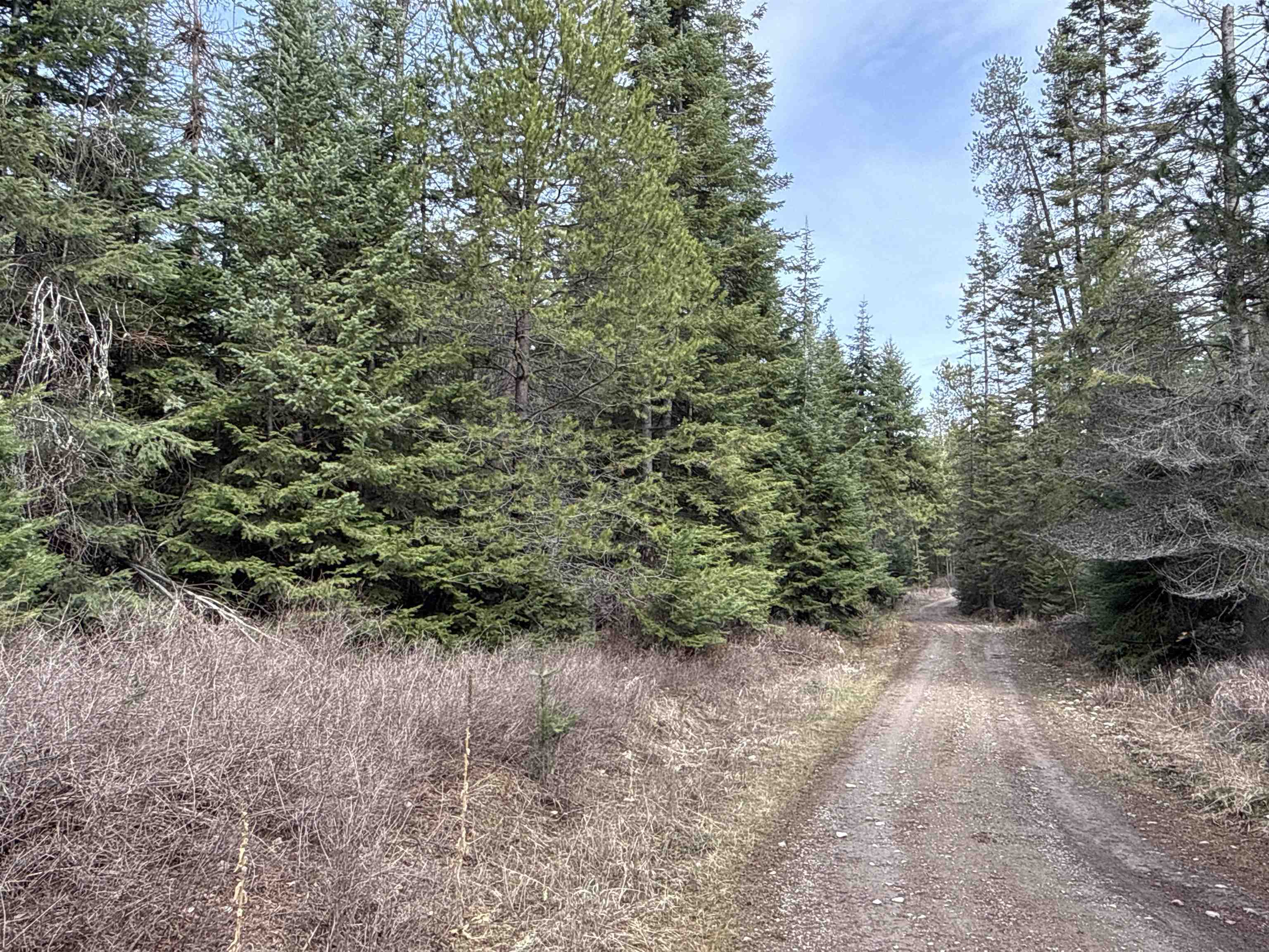 4828 Eagle Ridge Way - Photo 7