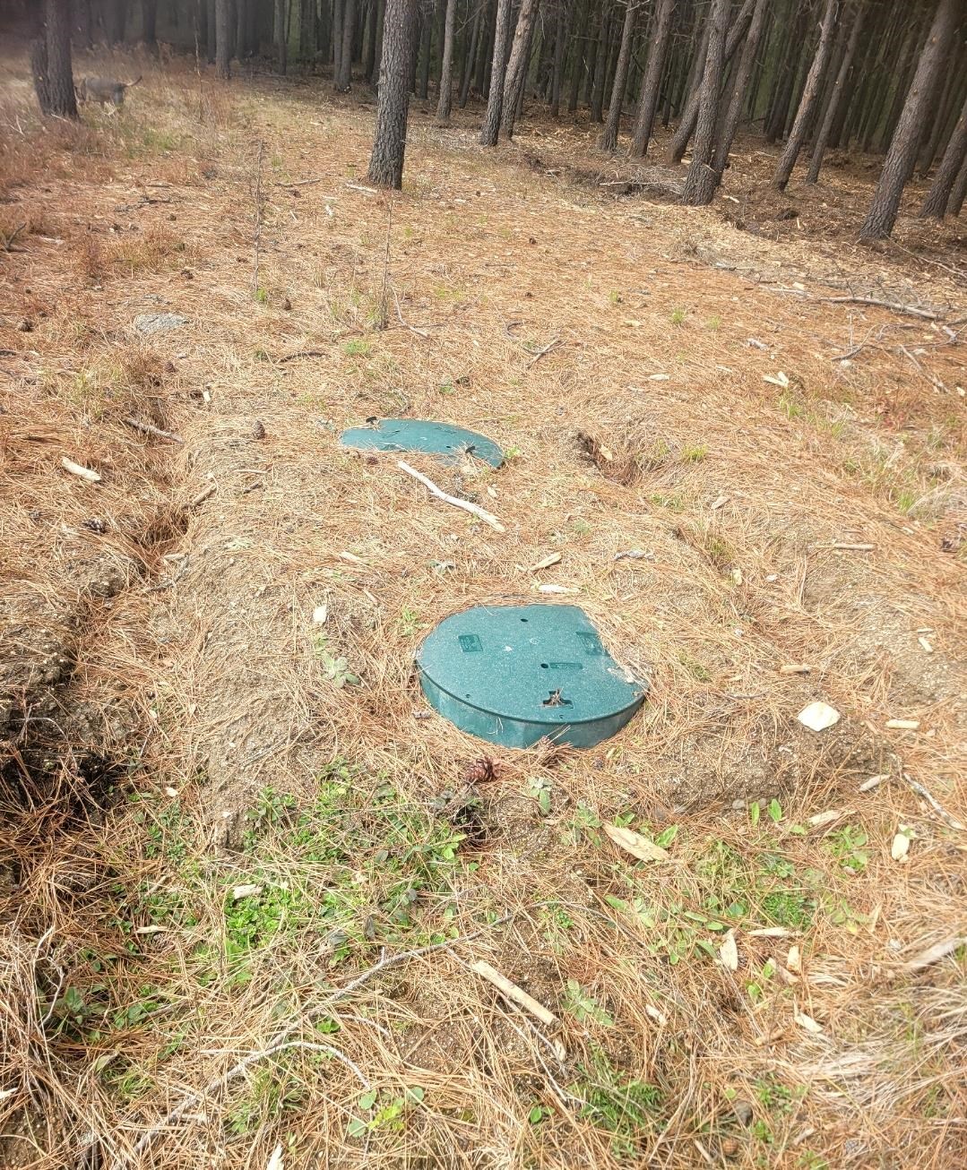 12351 E E Bridges Rd - Photo 3
