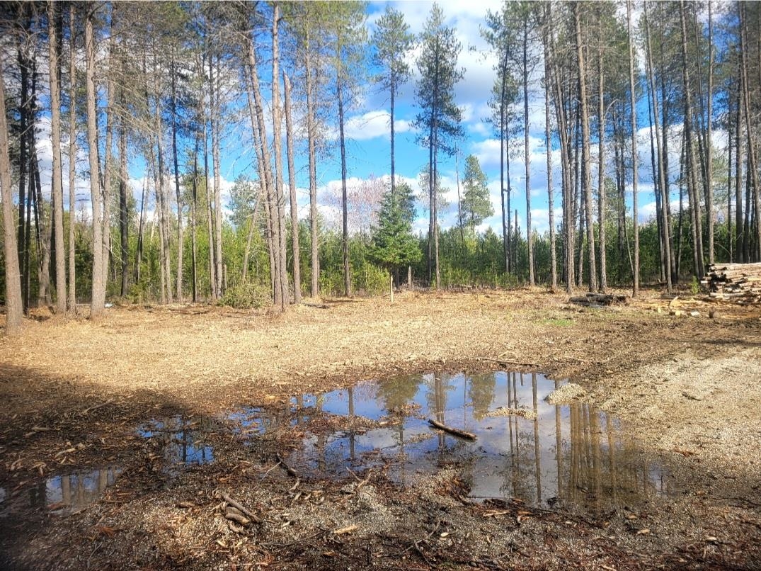 12351 E E Bridges Rd - Photo 5
