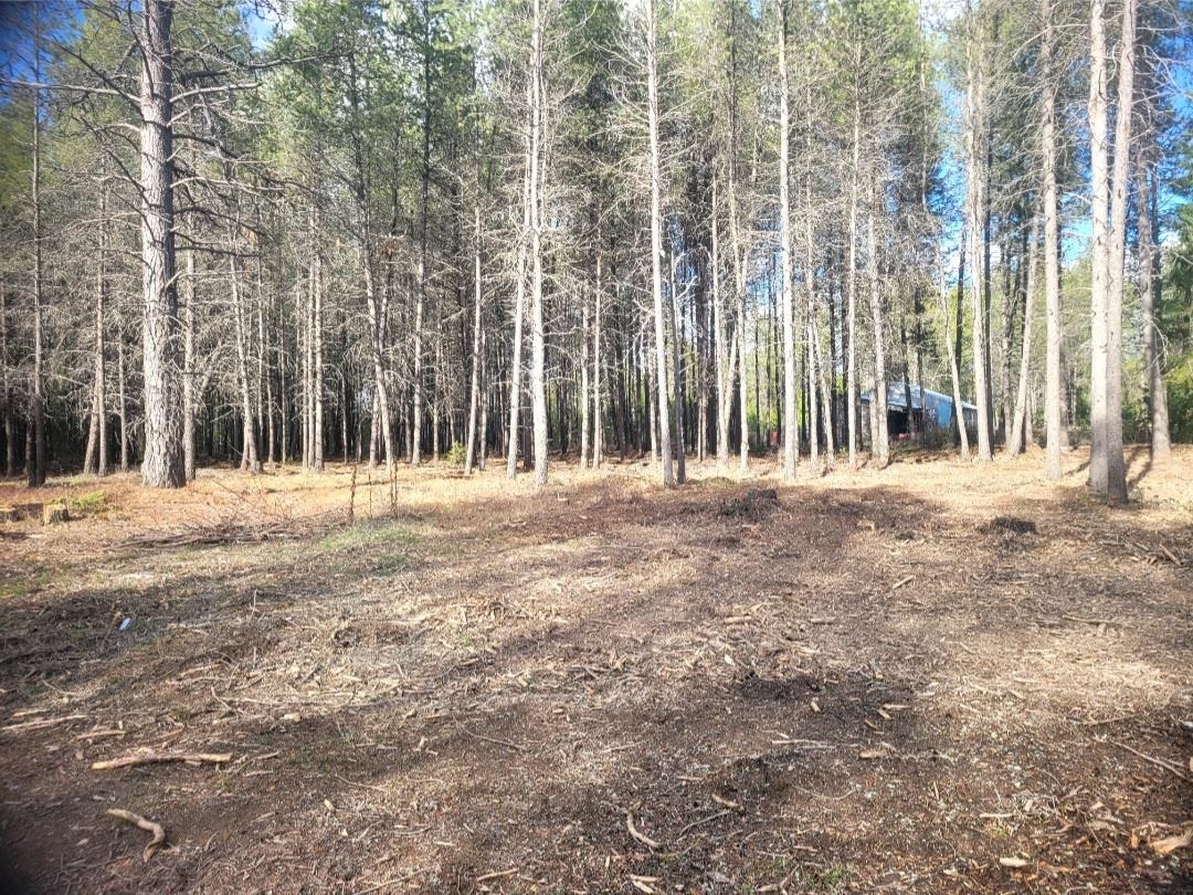 12351 E E Bridges Rd - Photo 6