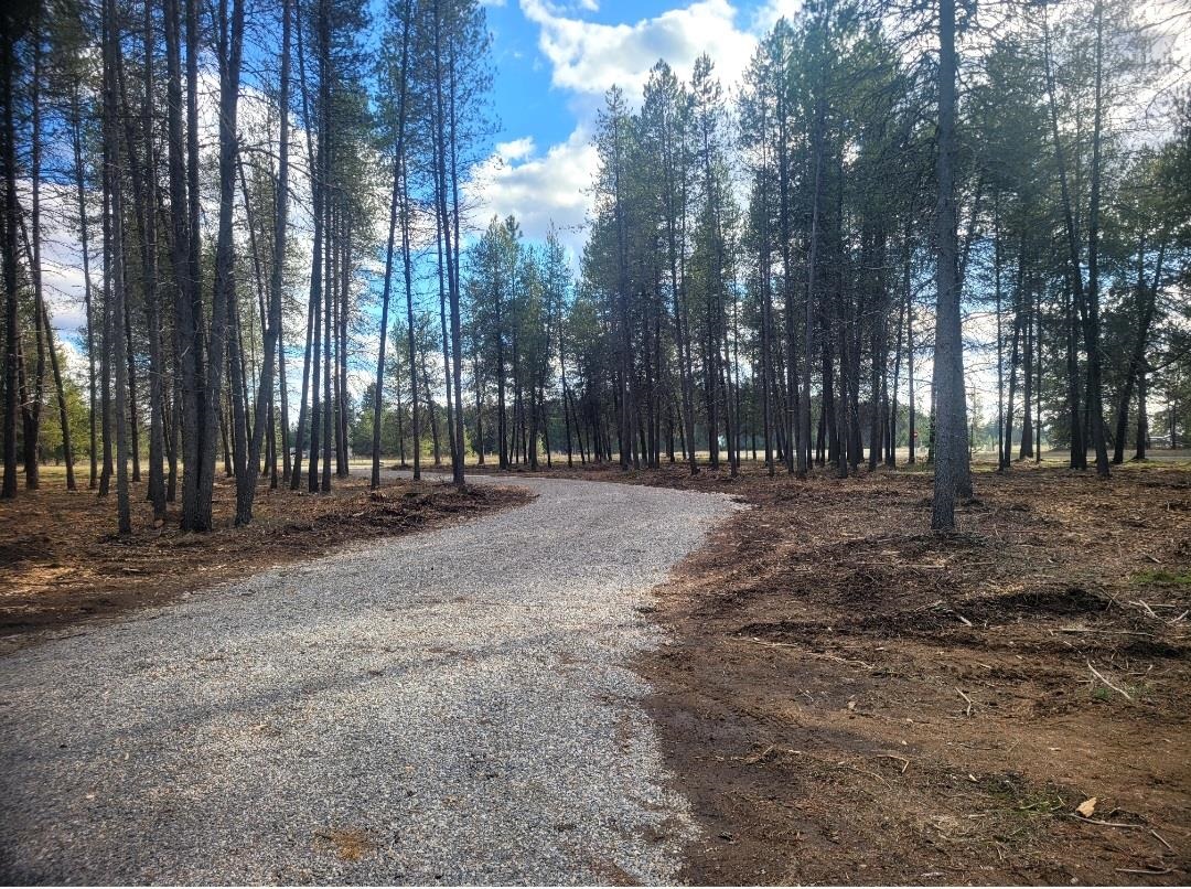 12351 E E Bridges Rd - Photo 7