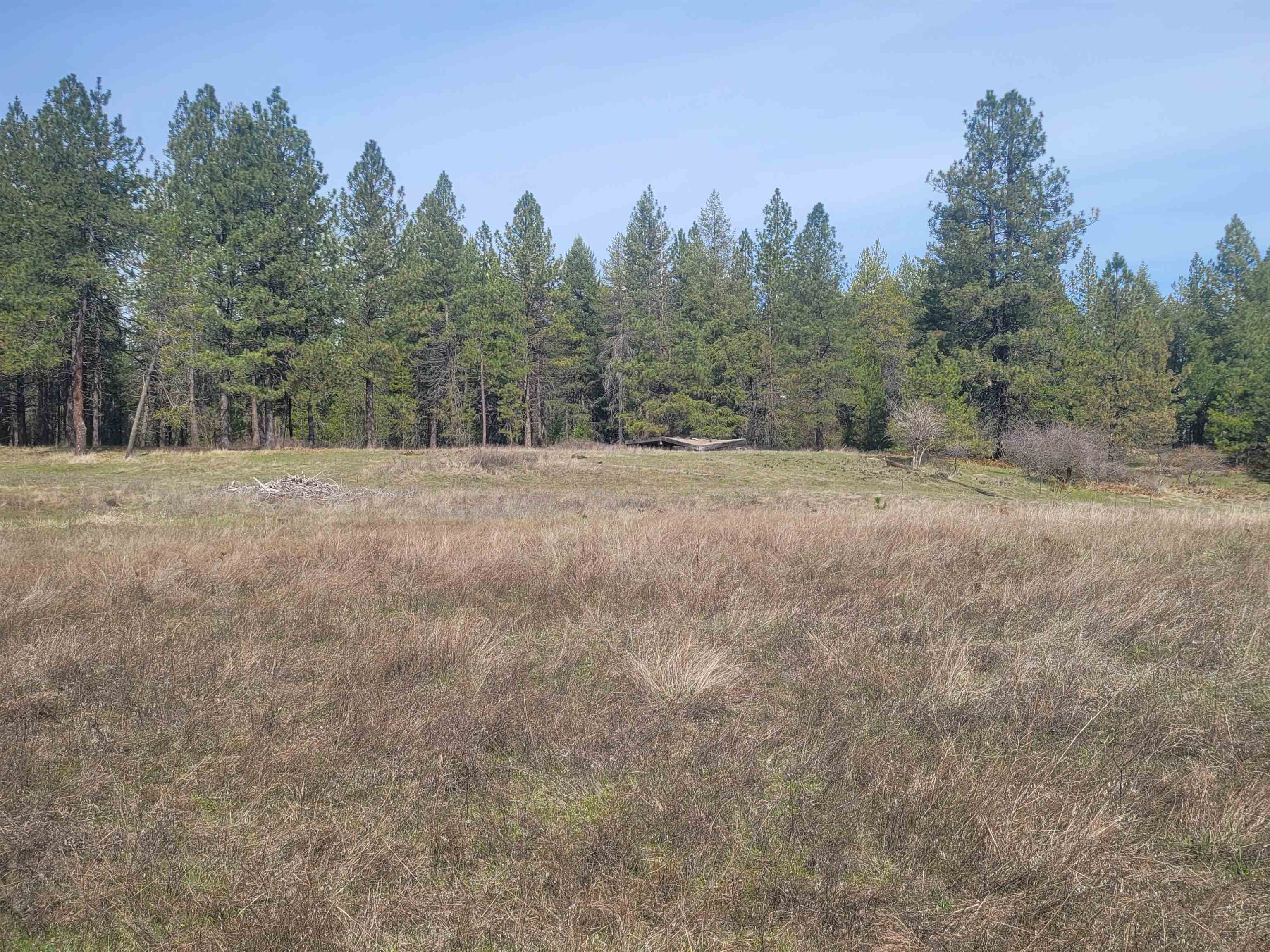 4528 Stonebrook Way - Photo 4