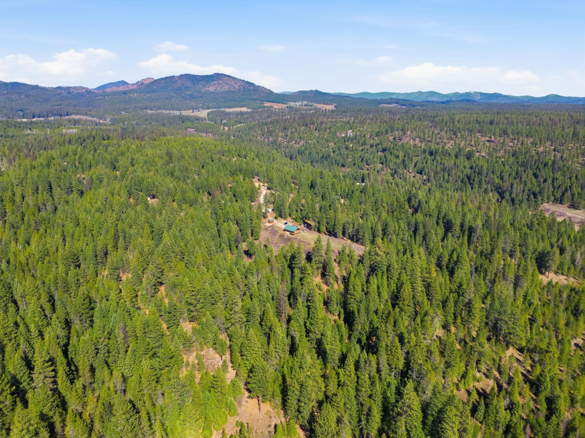 5177 Goah Way - Photo 46
