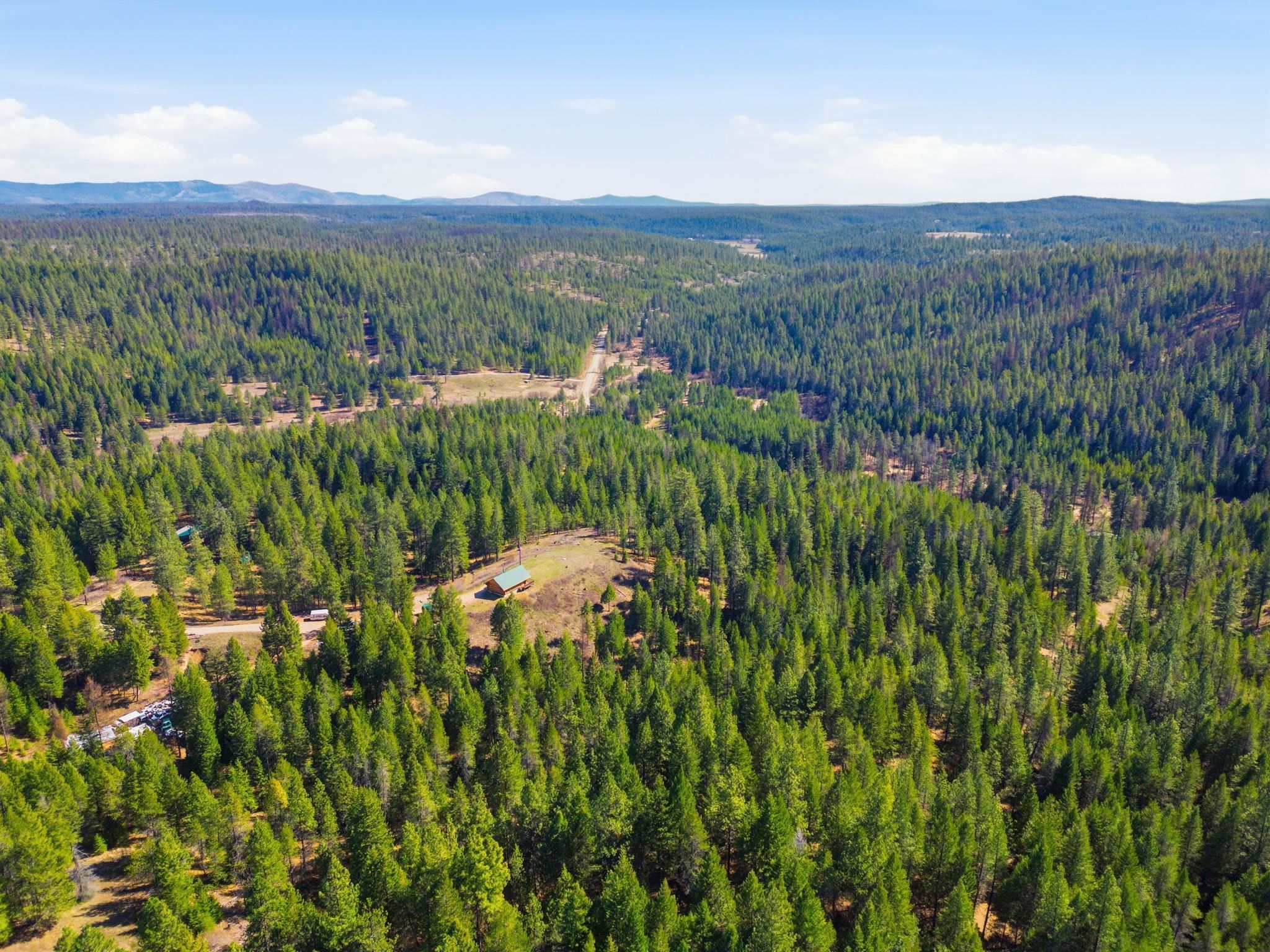 5177 Goah Way - Photo 47